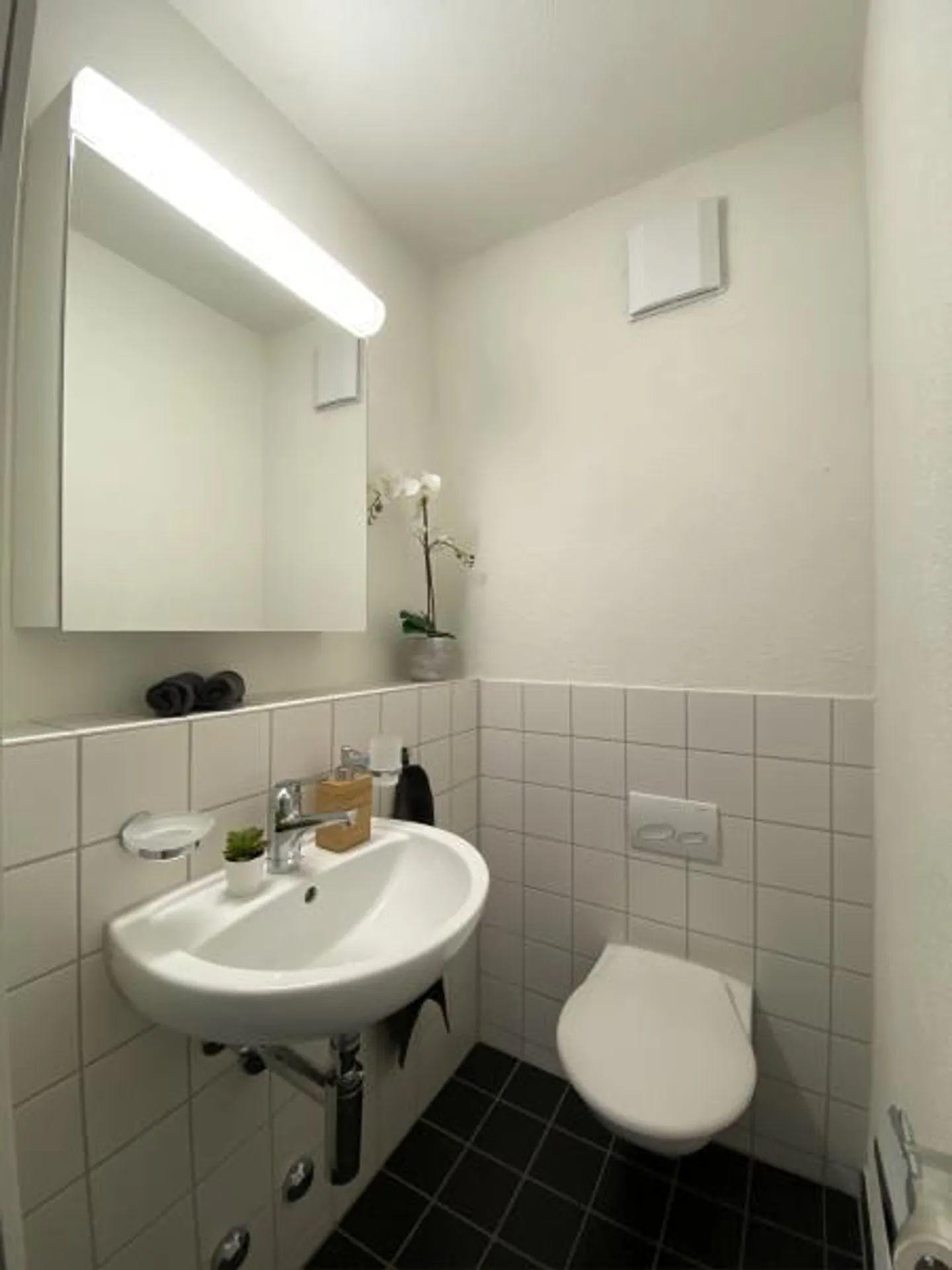 4.5 Room Apartment in Greifensee - Photo 5 of 7