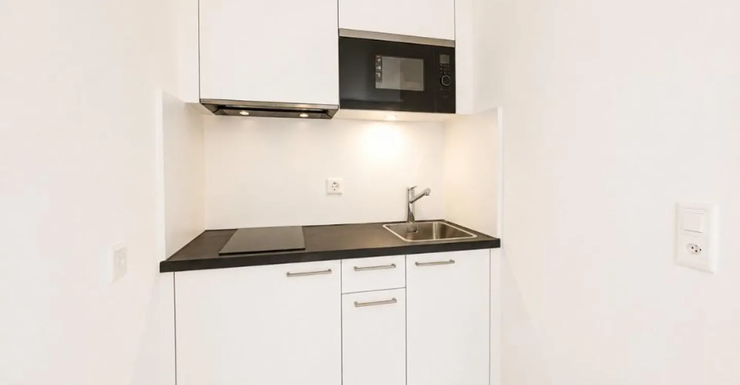 Studio renovated near the lake and the train station! - Photo 6 of 6
