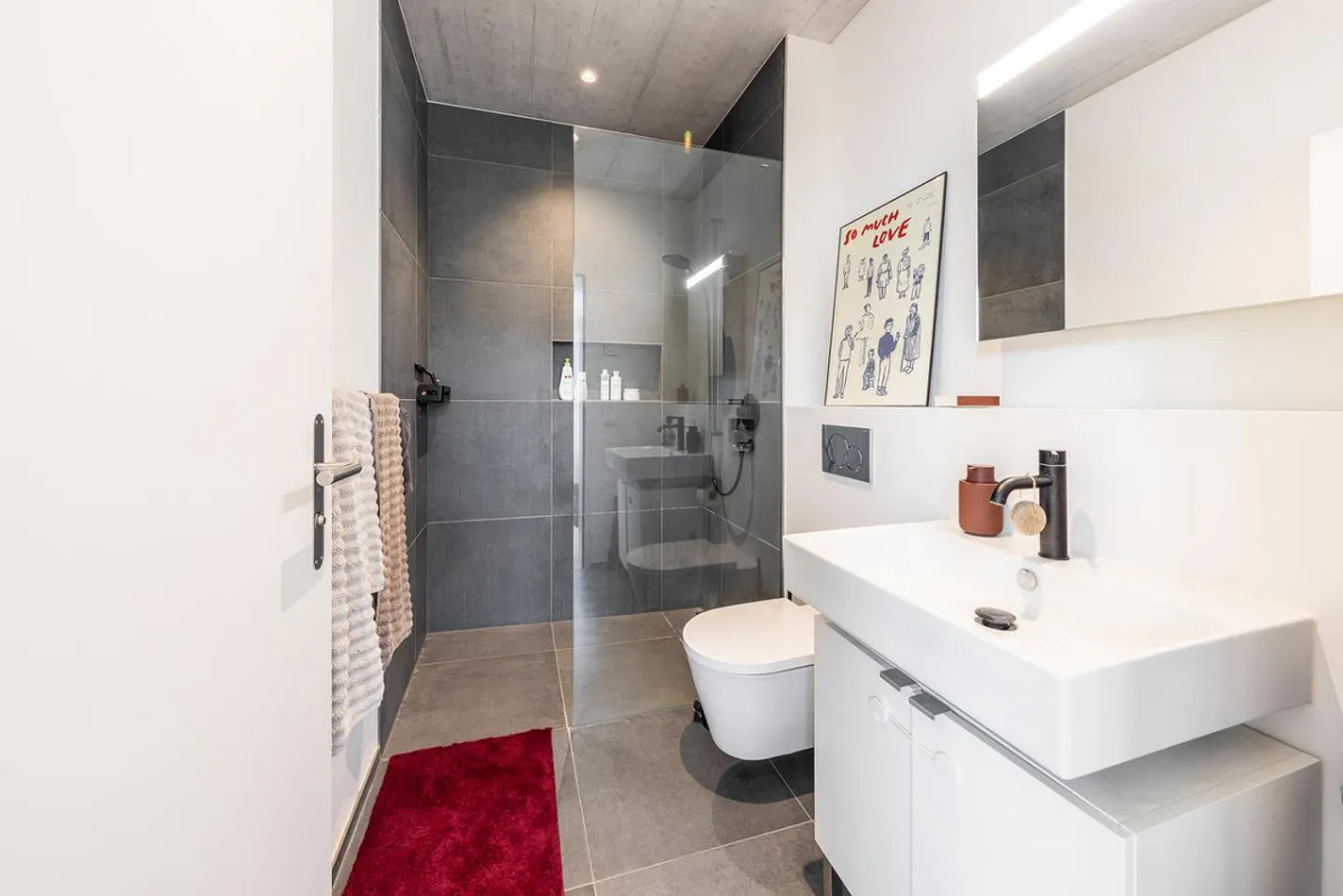 Vie urbaine sur deux niveaux – Spacieux appartement en attique en duplex - Photo 8 sur 13