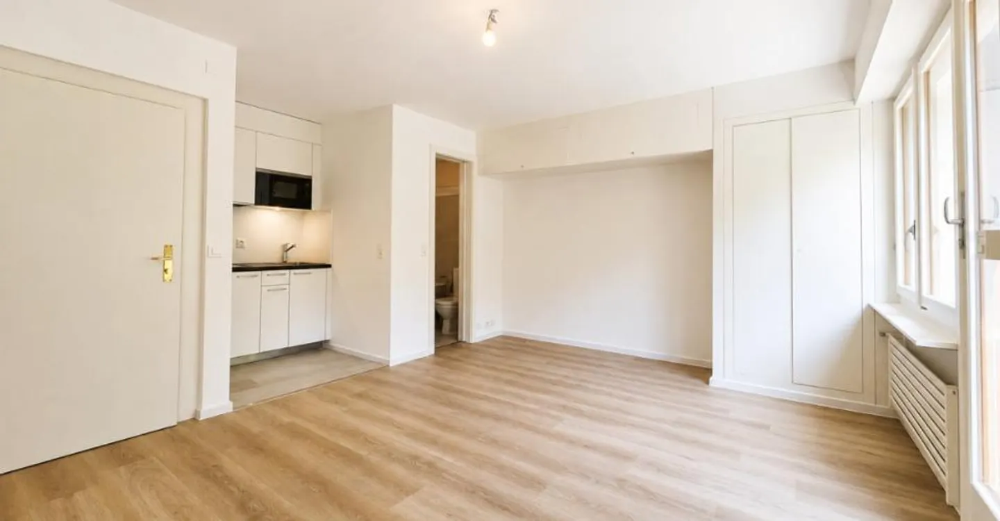 Studio renovated near the lake and the train station! - Photo 1 of 6