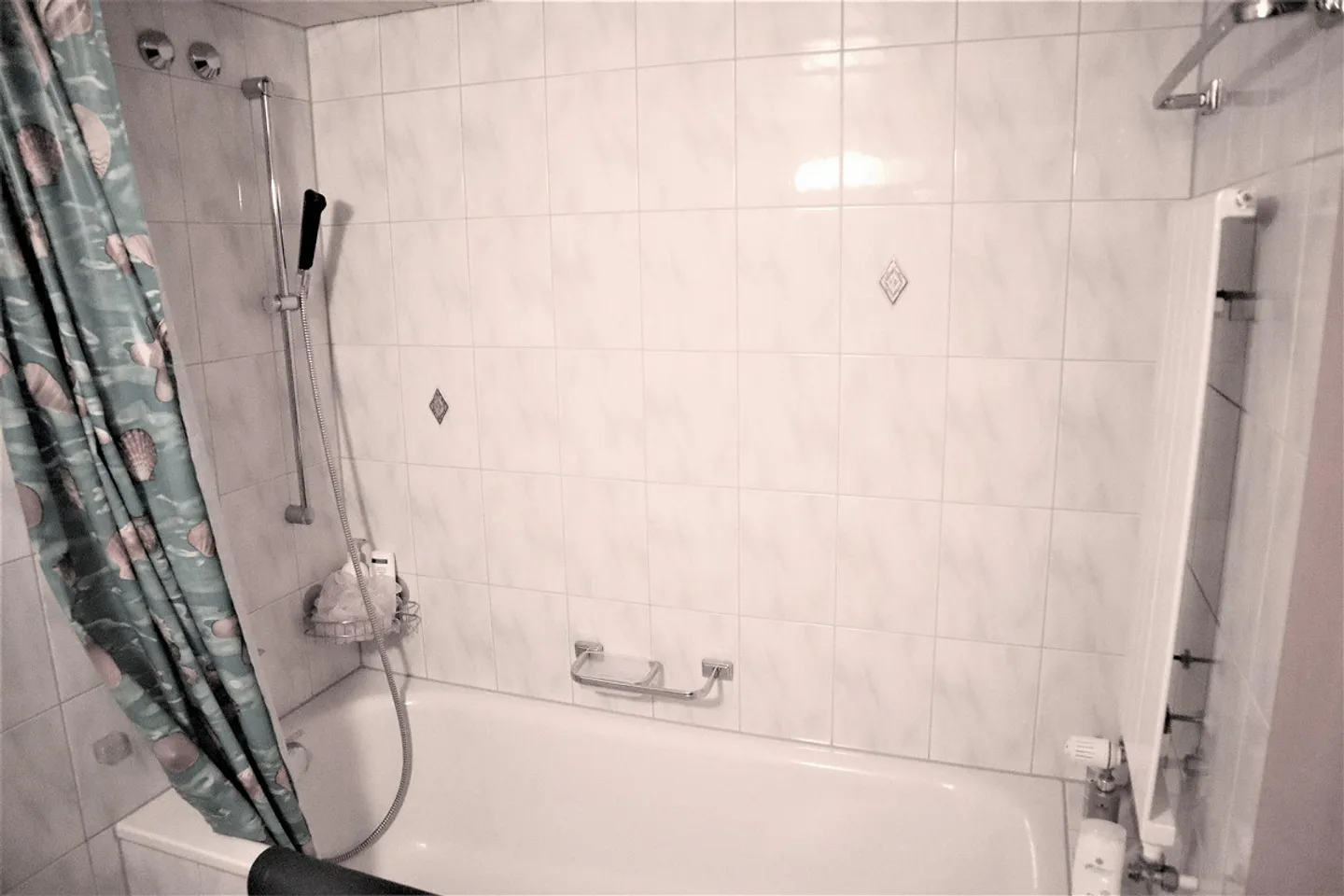 Cercasi nuovo inquilino - Foto 8 di 10