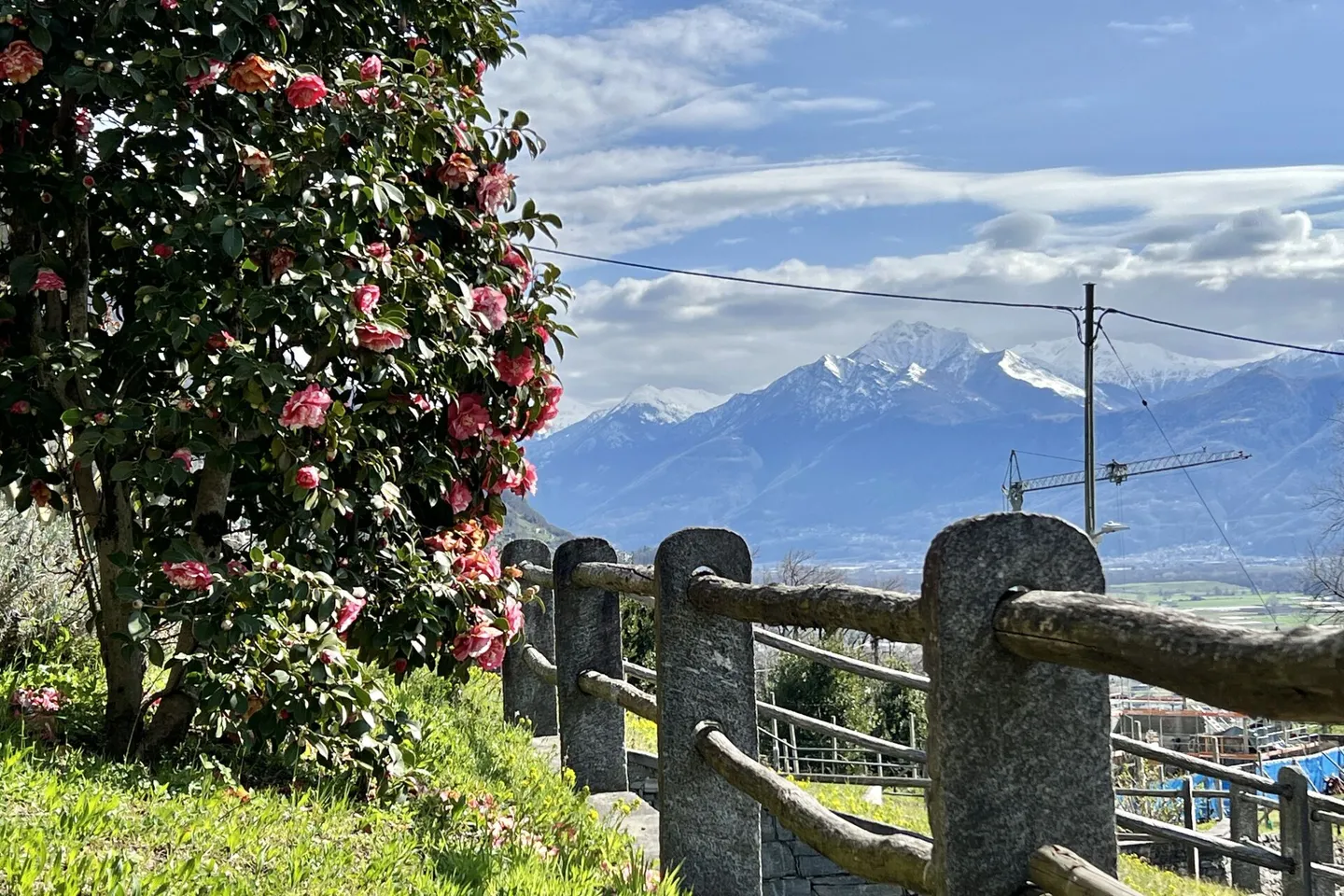 SOLD!!! Charming single-family house with pool and separate guest studio - Photo 34 of 40