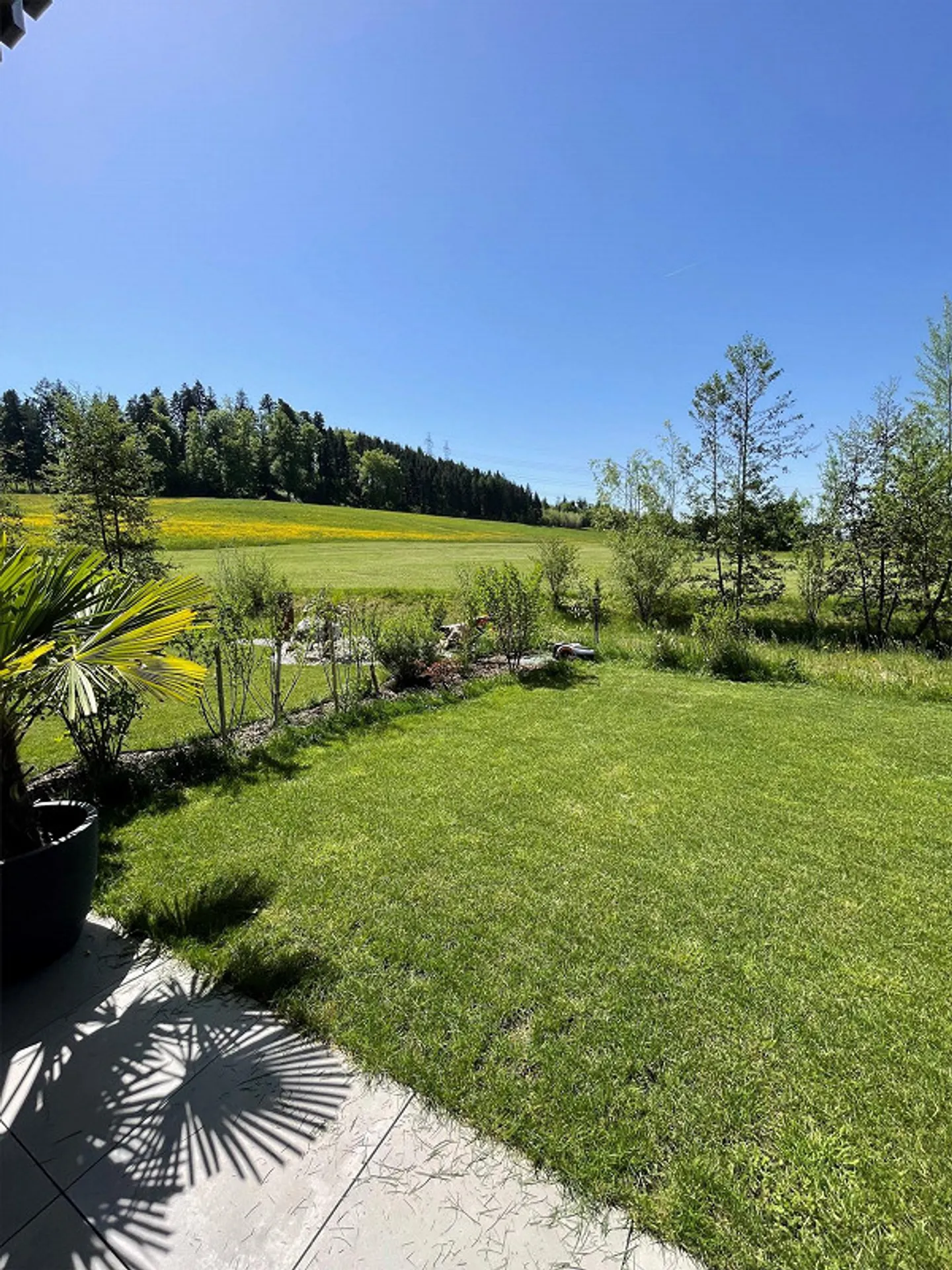 Appartement moderne de 2,5 pièces au rez-de-chaussée dans la verdure - Photo 9 sur 11