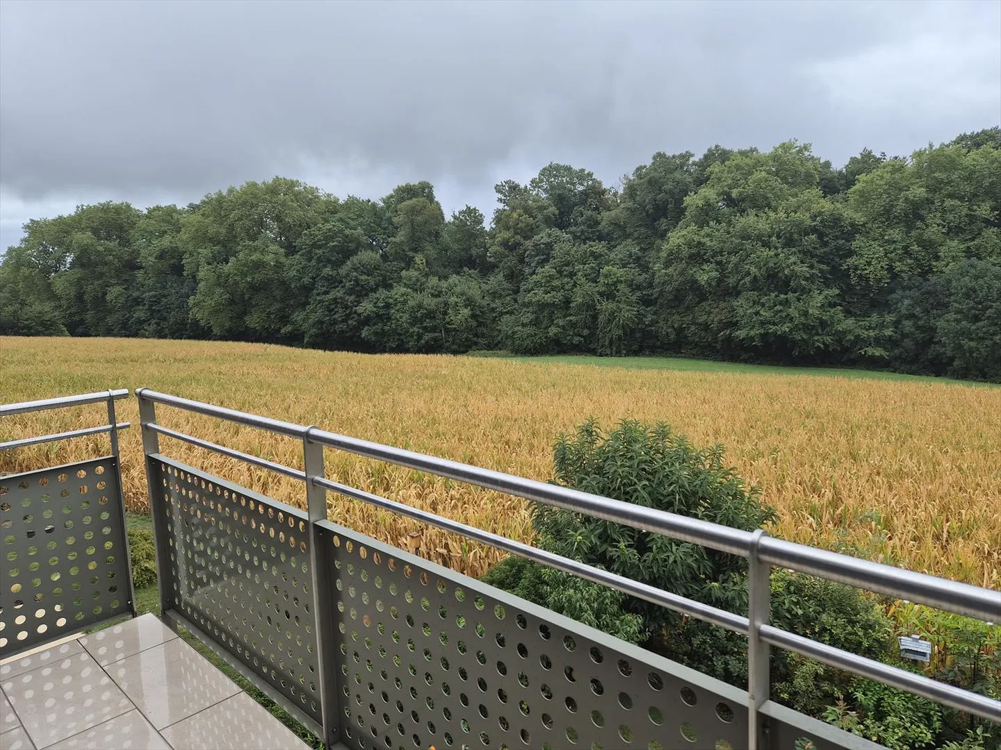 Helles Appartement von 132 m² im Herzen der Weinberge, mit Ausgang zum See - Foto 5 von 5