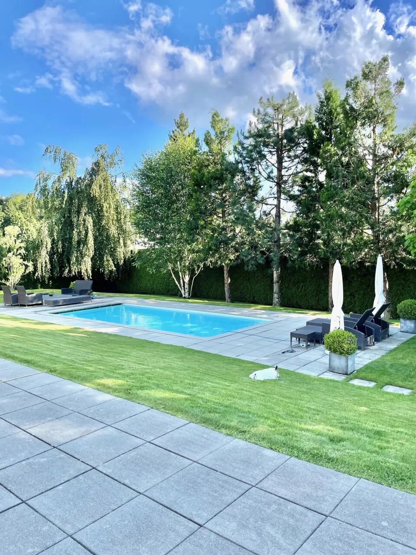 Grande villa contemporaine de 500m², piscine, calme, vue sur le Jura - Photo 2 sur 13
