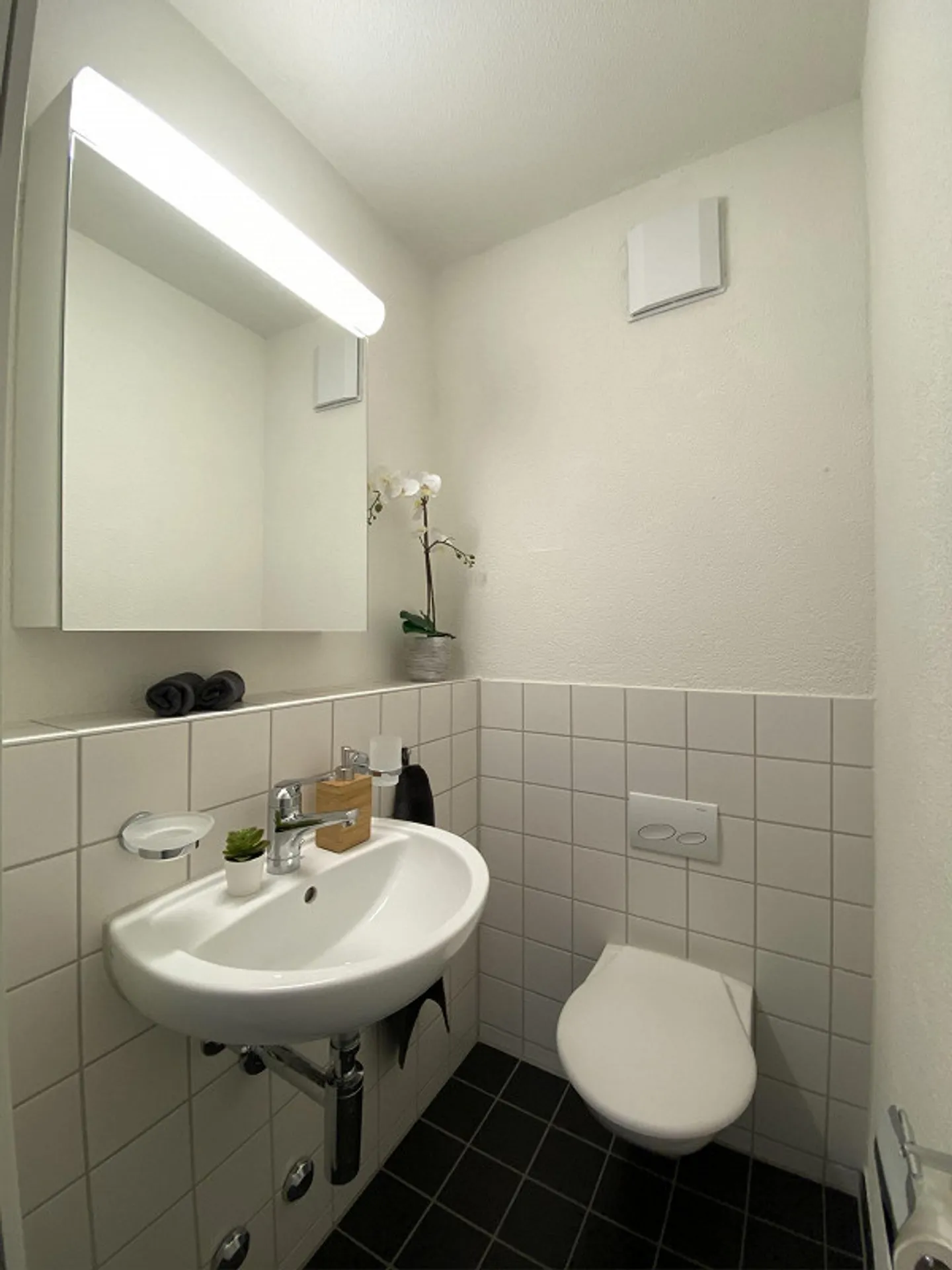 Spacious Apartment 5 Minutes from Greifensee - Photo 4 of 7