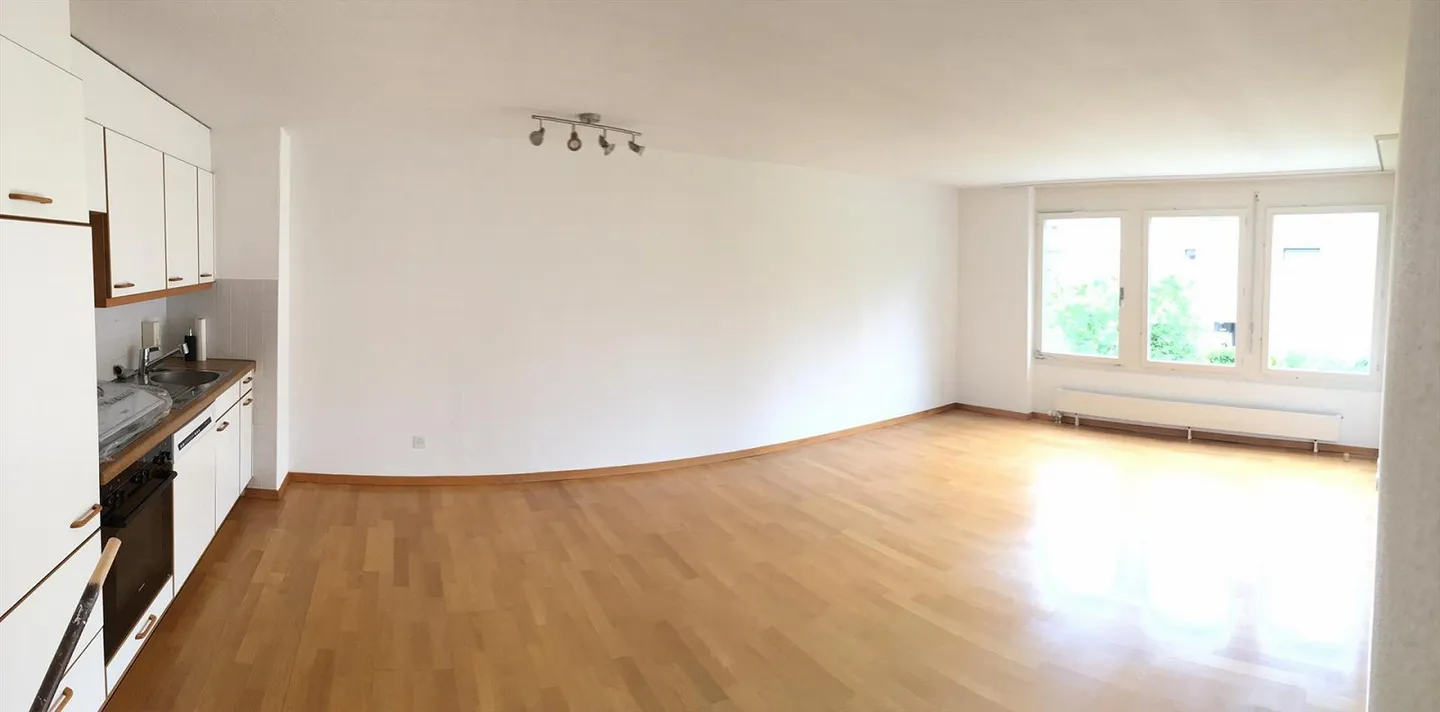 2.5 Room Apartment with Lake View - Photo 6 of 15