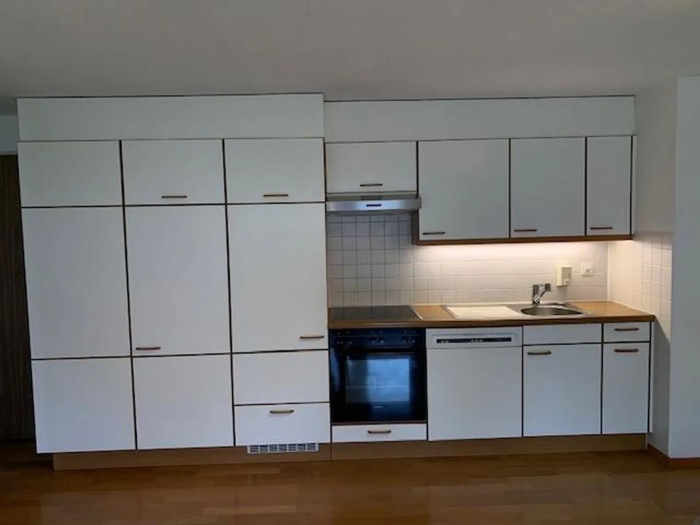 2.5 Room Apartment with Lake View - Photo 9 of 15