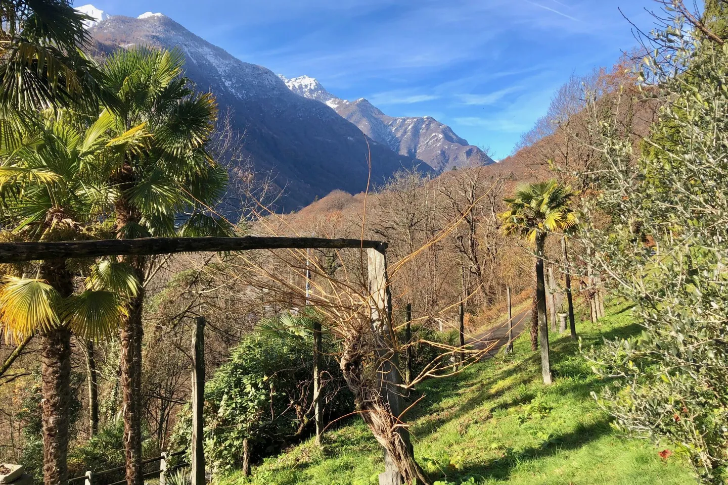 Charmantes Landhaus im Tessin - Foto 32 von 33