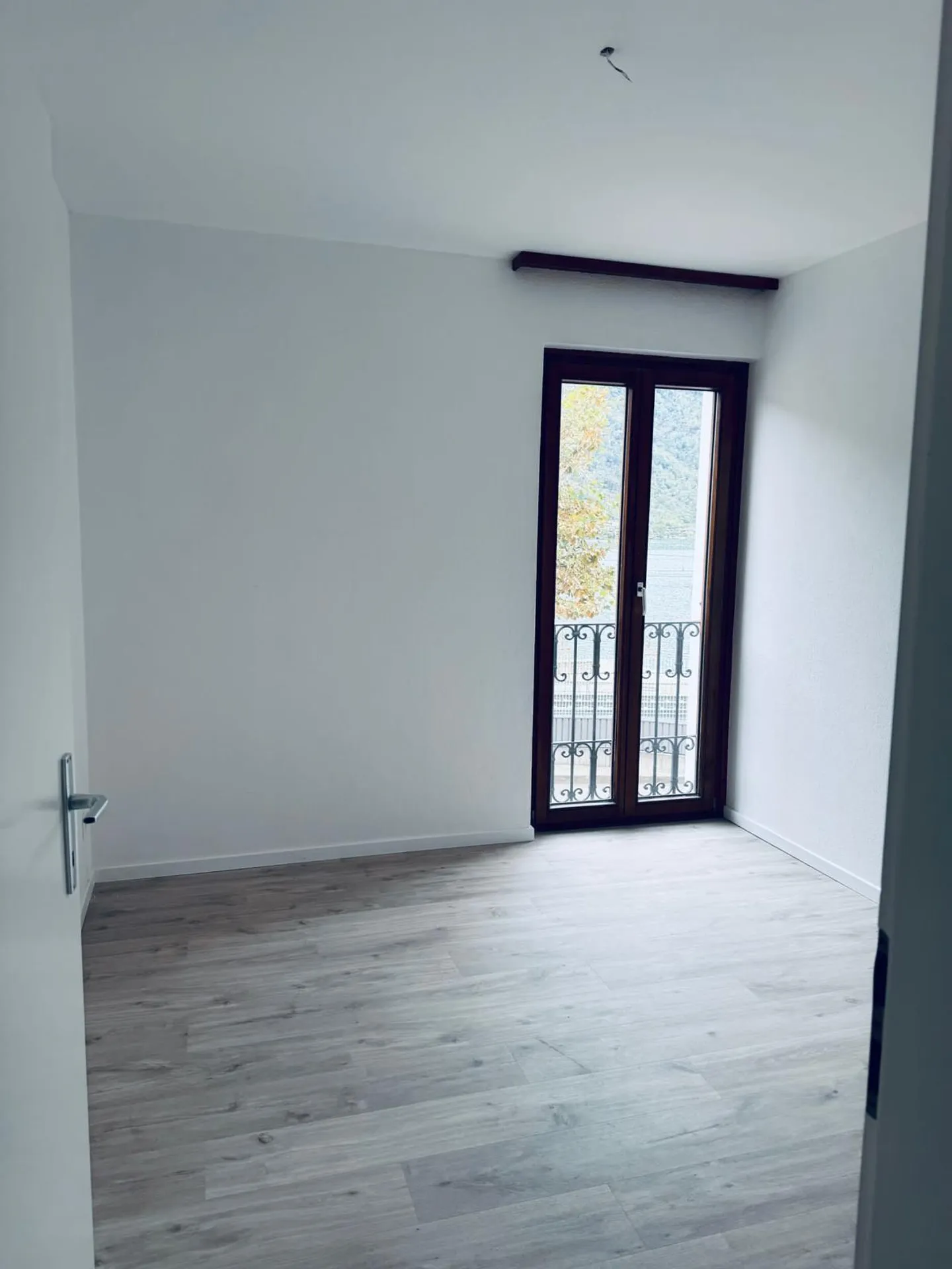 Bright 4.5-Room Apartment with Lake View Renovated - Photo 2 of 12