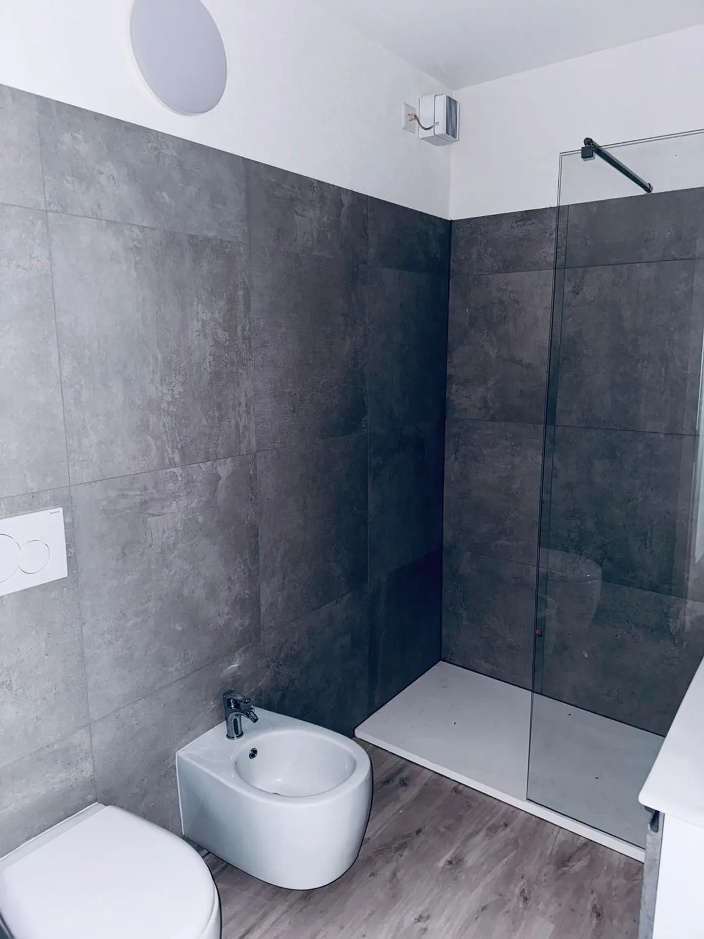 Bright 4.5-Room Apartment with Lake View Renovated - Photo 5 of 12