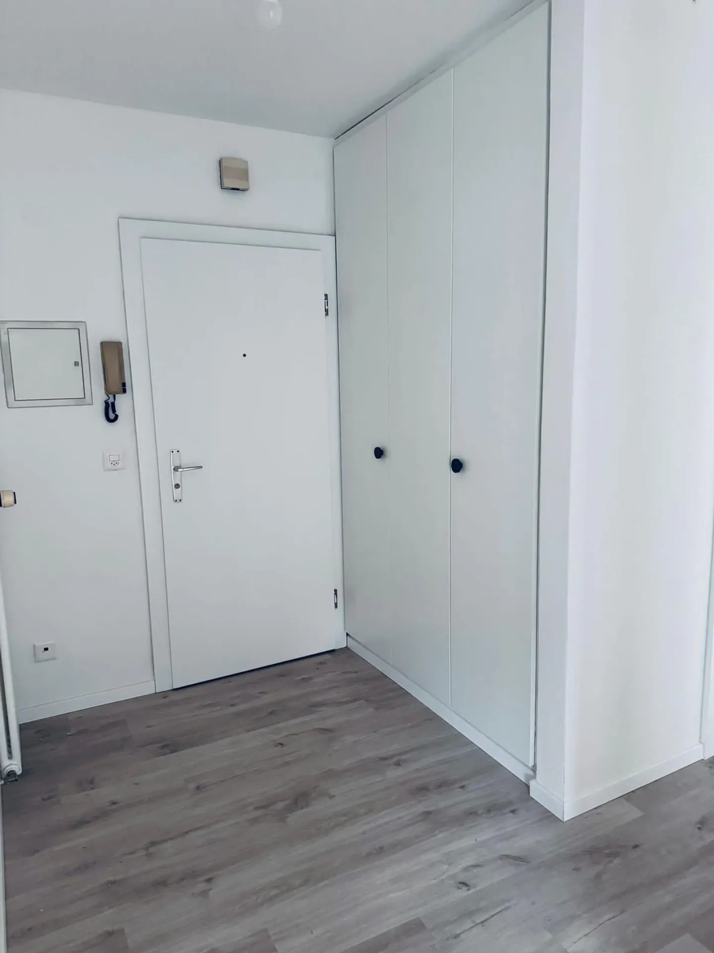 Bright 4.5-Room Apartment with Lake View Renovated - Photo 10 of 12