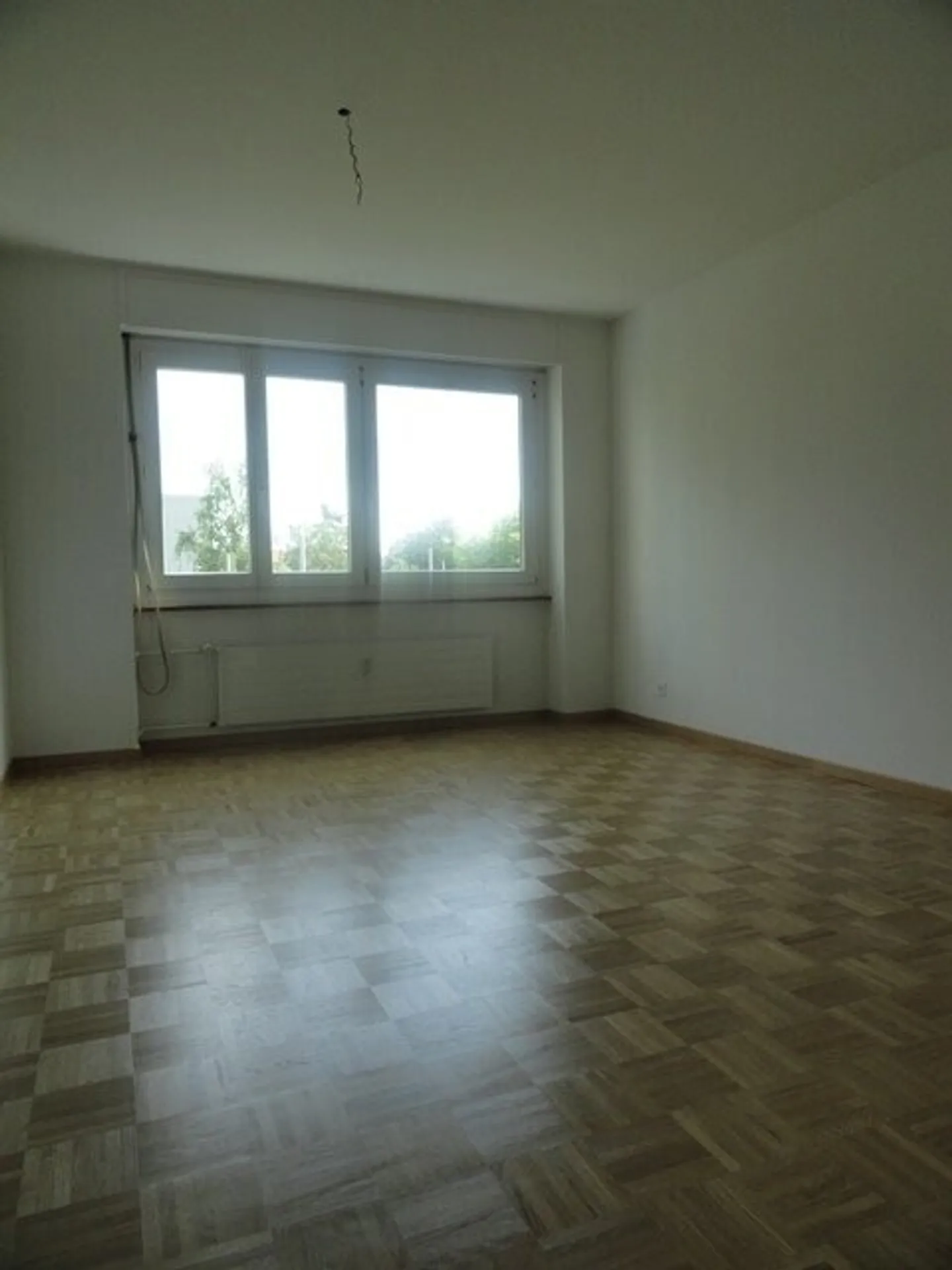 Your new dream home in Bern - Photo 3 of 7