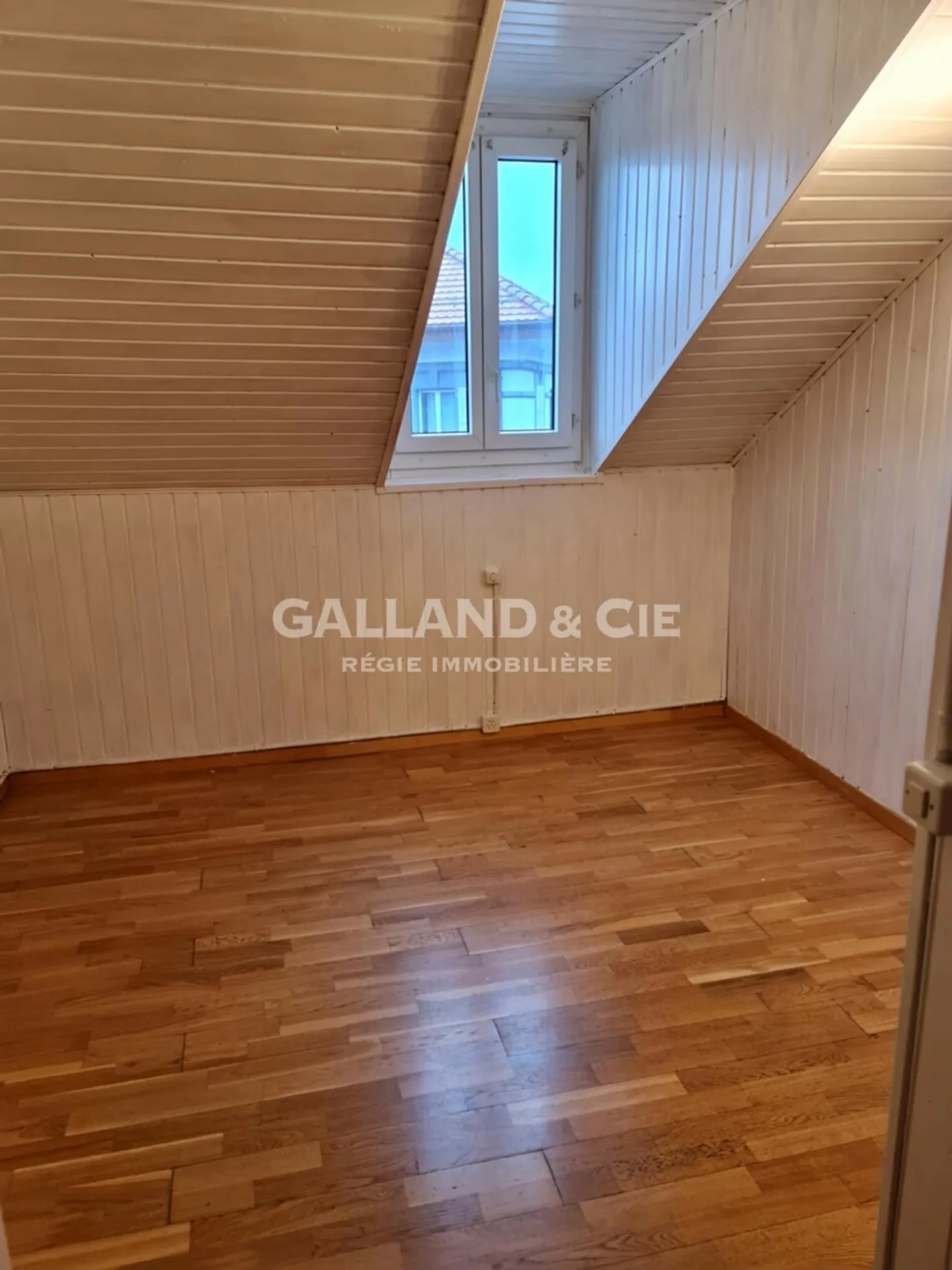 Appartamento 2.5 locali - Foto 2 di 6