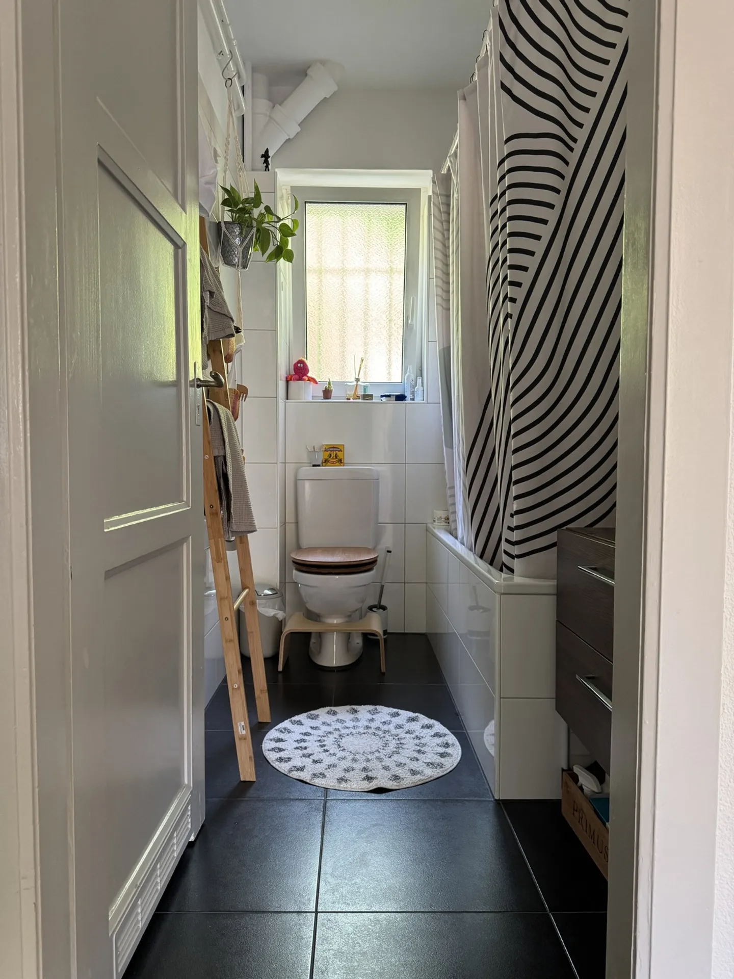 APPARTEMENT 2½ PIÈCES À BERNE - ALTENBERG, MEUBLÉ, TEMPORAIRE - Photo 9 sur 13