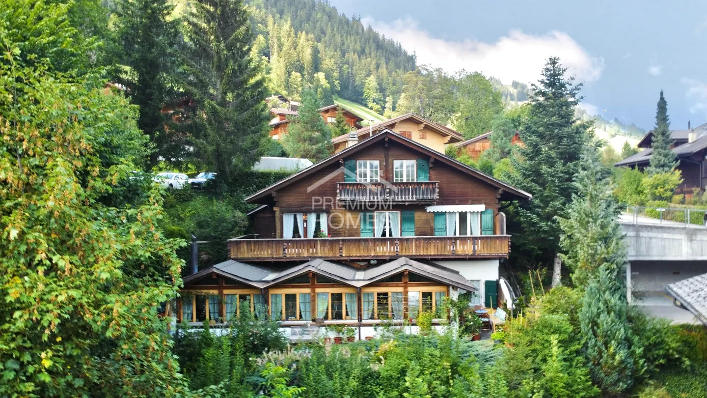 A chalet, two units, many possibilities - Your chance! - Photo 1 of 12