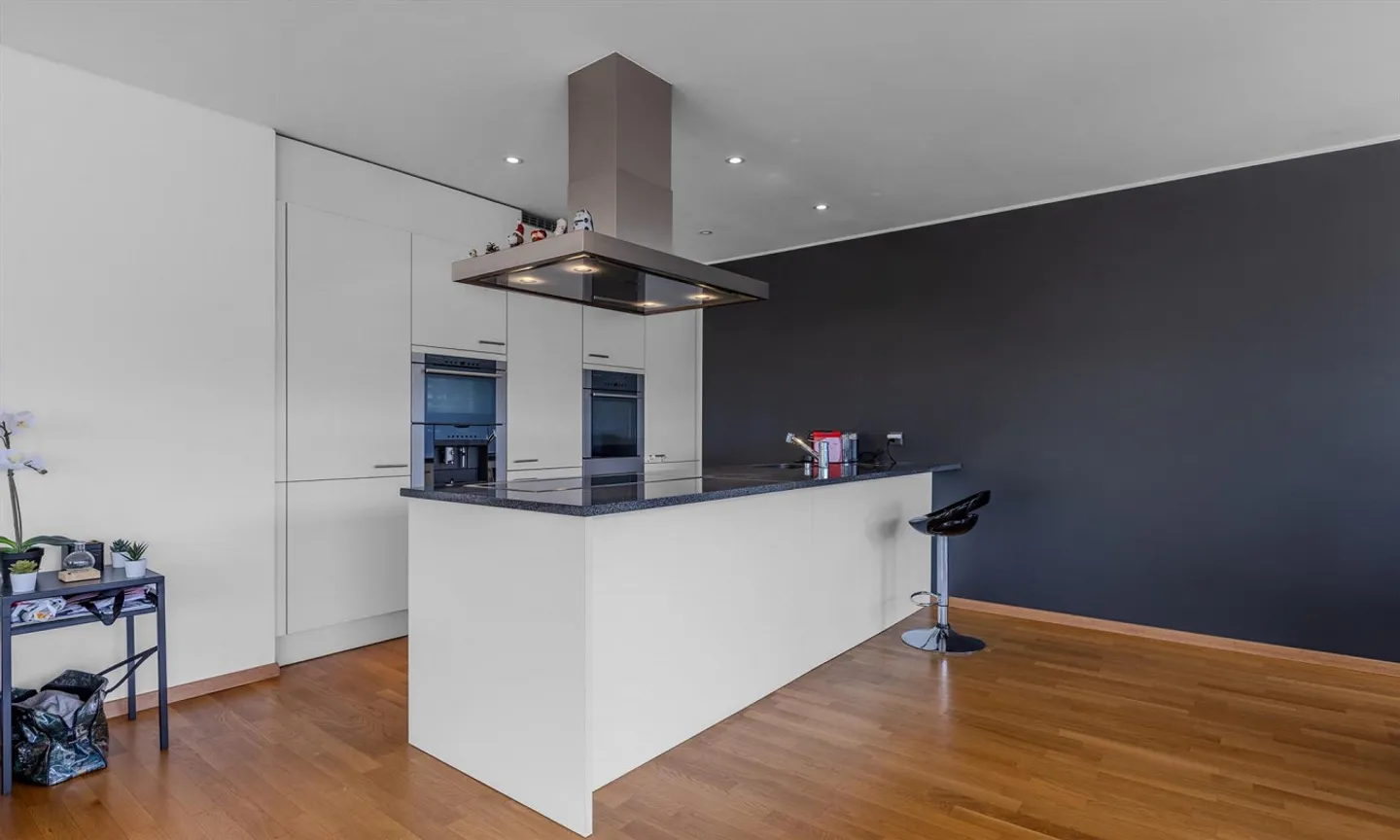 PENTHOUSE 3.5 PIÈCES AVEC TERRASSE PANORAMIQUE À CADRO - Photo 5 sur 9