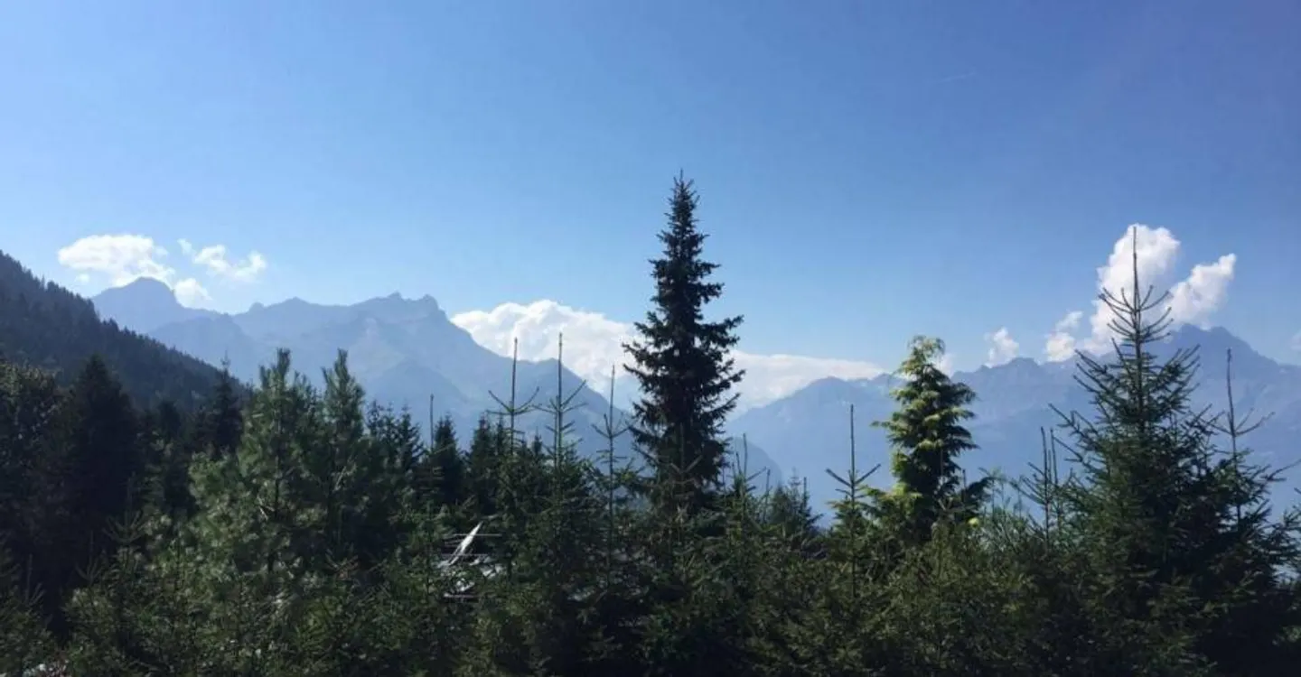 Einzelvilla 4 Zimmer in Villars-sur-Ollon - Foto 7 von 9