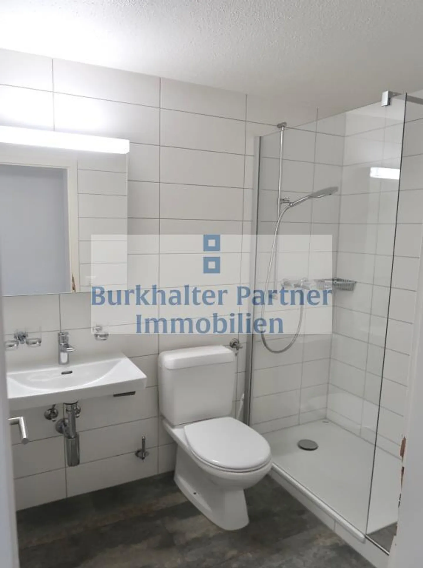 Appartement 4,5 pièces avec vue sur la chaîne des Alpes ! - Photo 3 sur 11