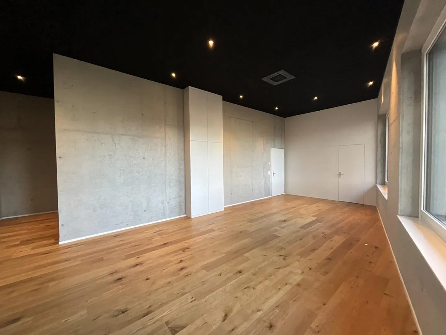 Versatile Commercial Space in Emmenbrücke - Photo 8 of 12