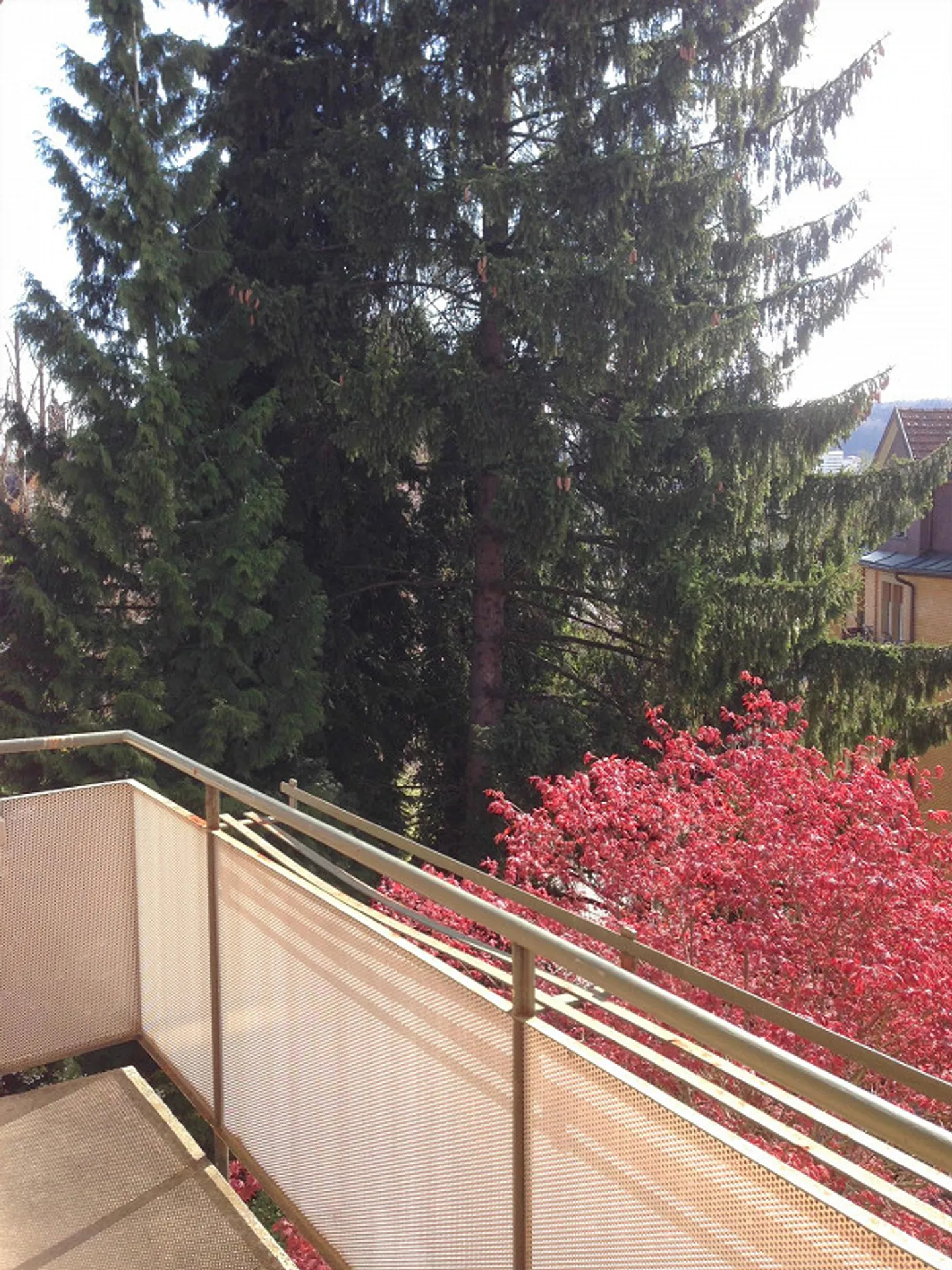 Sonnige und zentral gelegene 3 Zimmer Wohnung - Foto 8 von 10