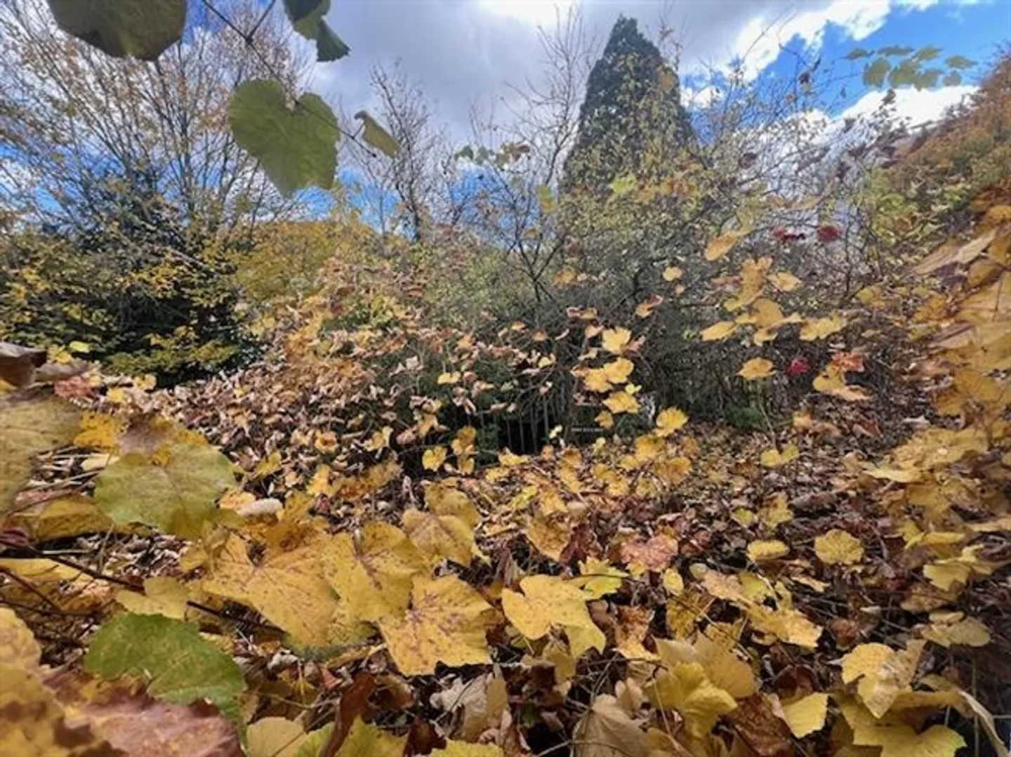 Property with large garden protected from view - Photo 6 of 13