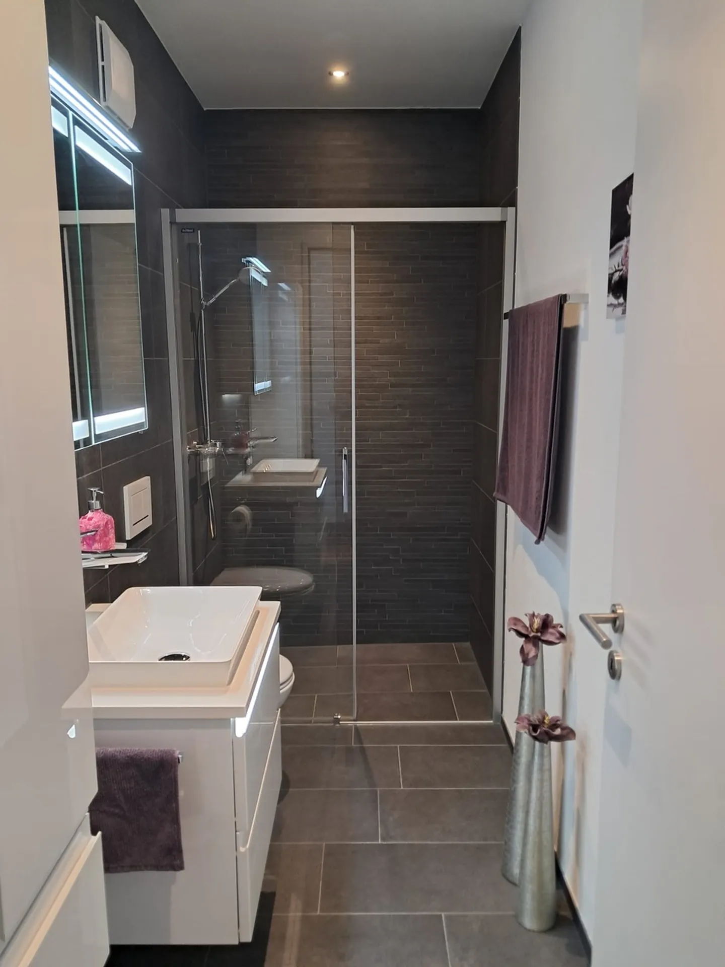 APPARTEMENT EN ATTIQUE AVEC VUE SUR RIGI ET PILATUS - Photo 7 sur 12