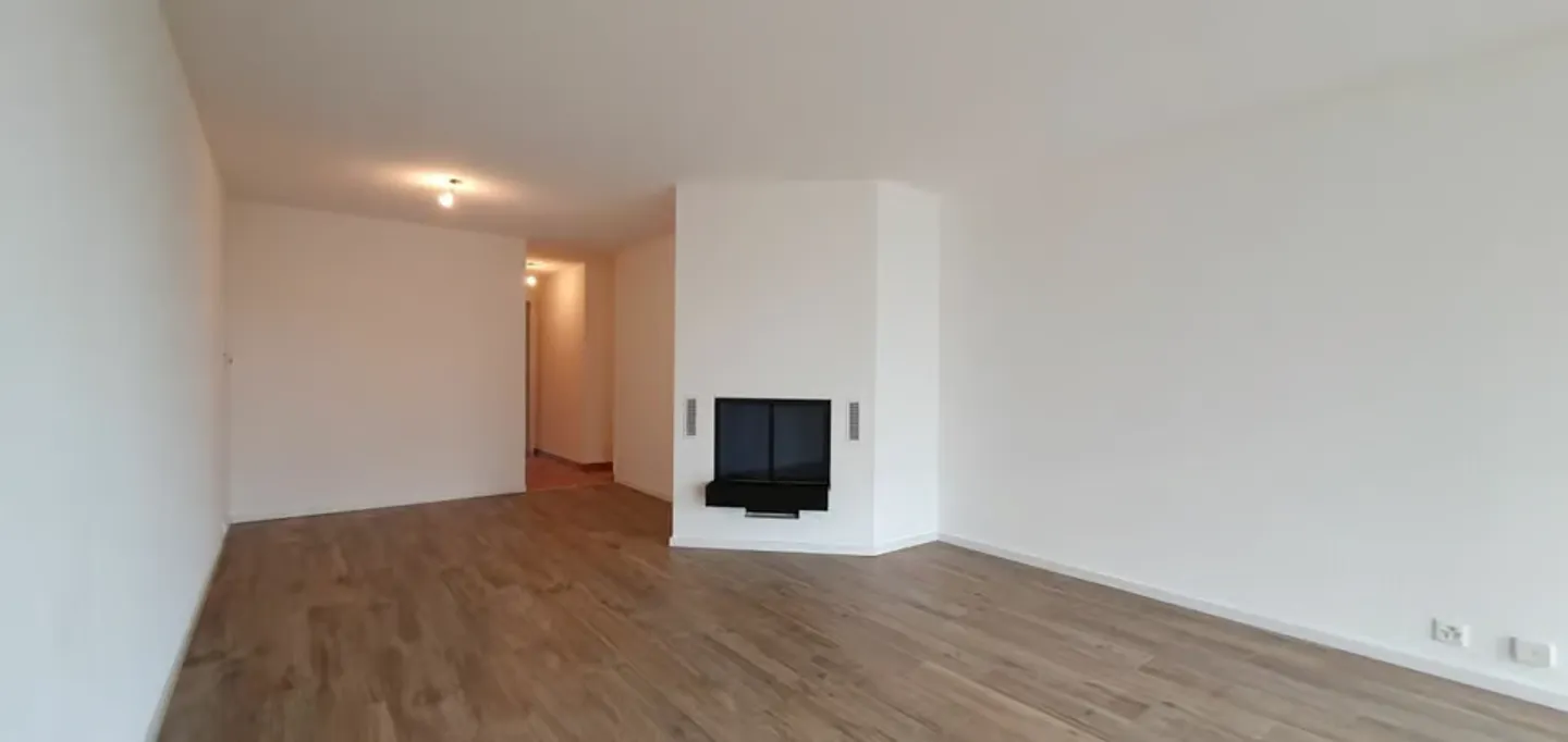 3-room apartment with fireplace and veranda - Photo 1 of 12