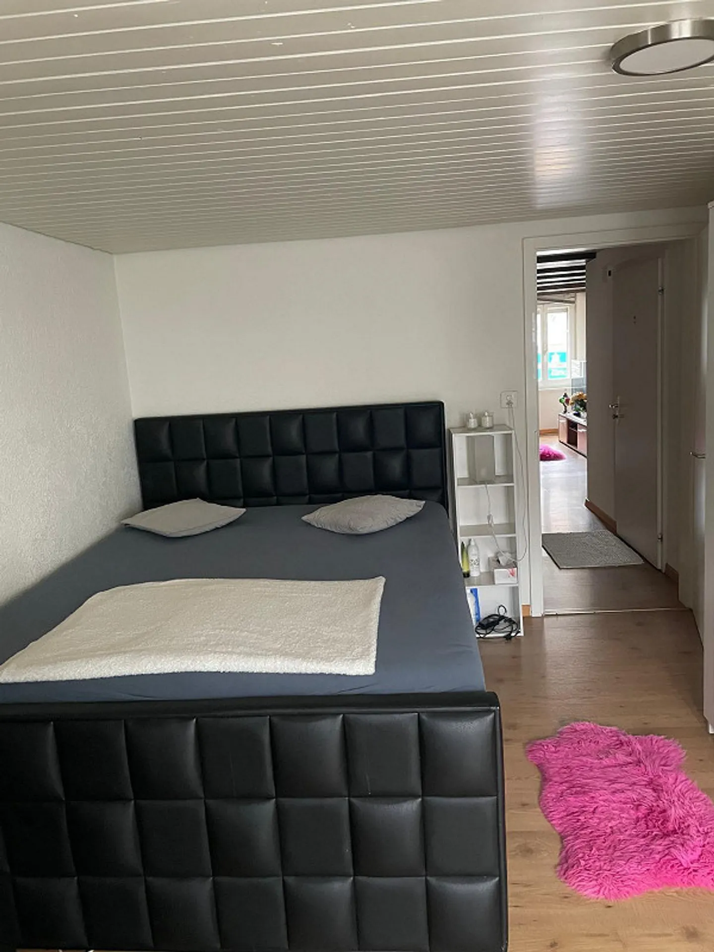 Appartamento cittadino 2,5 locali con terrazza da sogno e sole serale - Foto 5 di 19