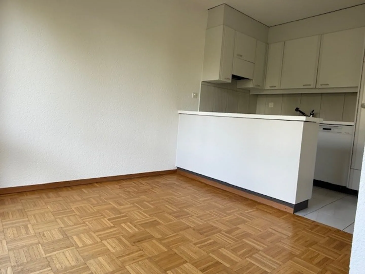 3.5 Room Apartment - Photo 1 of 6