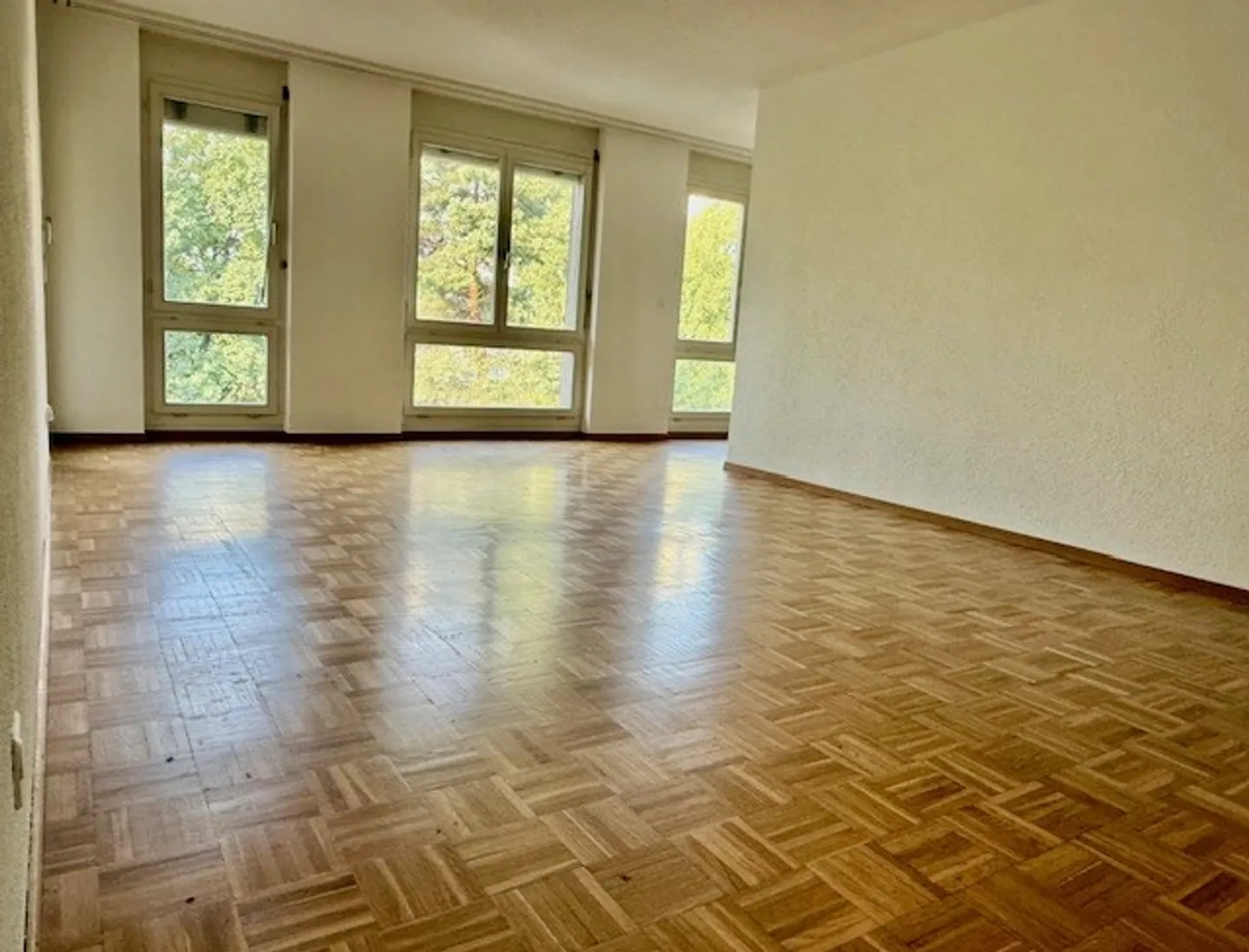 3.5 Room Apartment - Photo 3 of 6