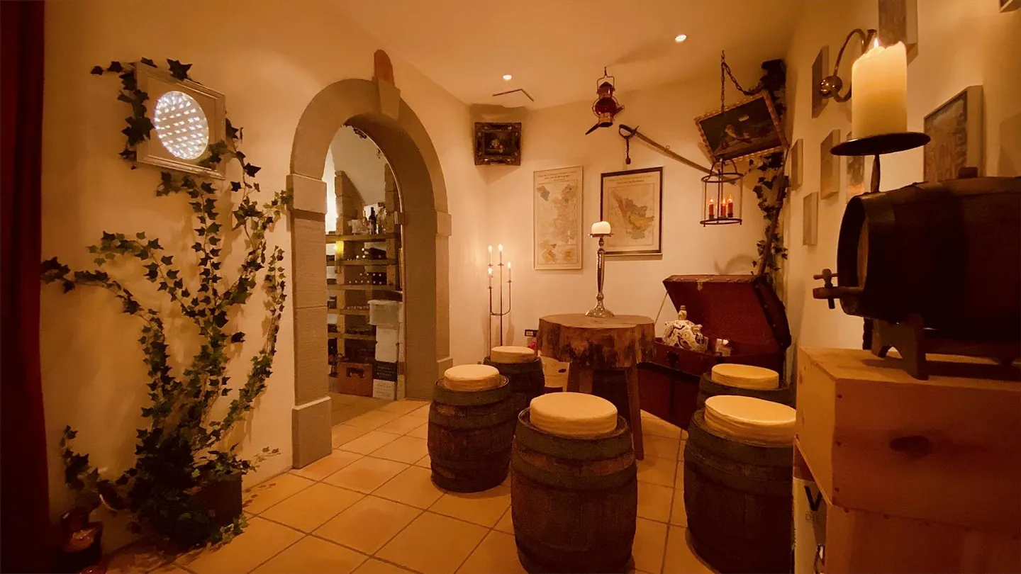 Spacious Single-Family Home with Separate Garden Apartment - Photo 9 of 12