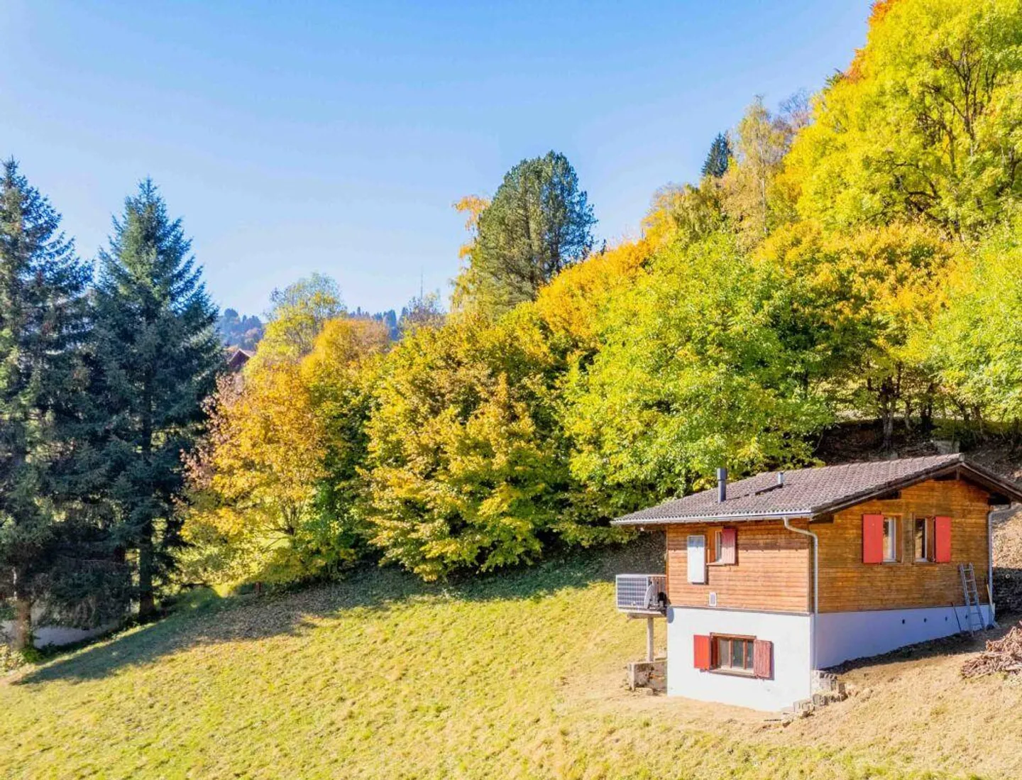 Idyllic Mountain Cabin for Sale - Photo 9 of 14