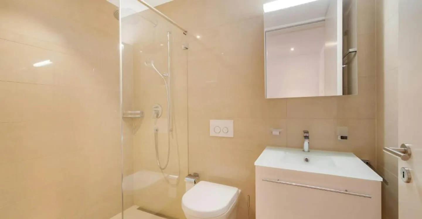 Panoramic View Meets Living Comfort - Your New Home in Höngg - Photo 10 of 13