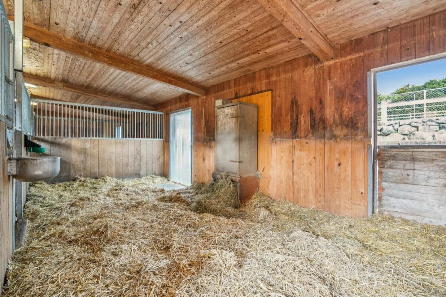 Charmante Reitsportanlage - Foto 8 von 11