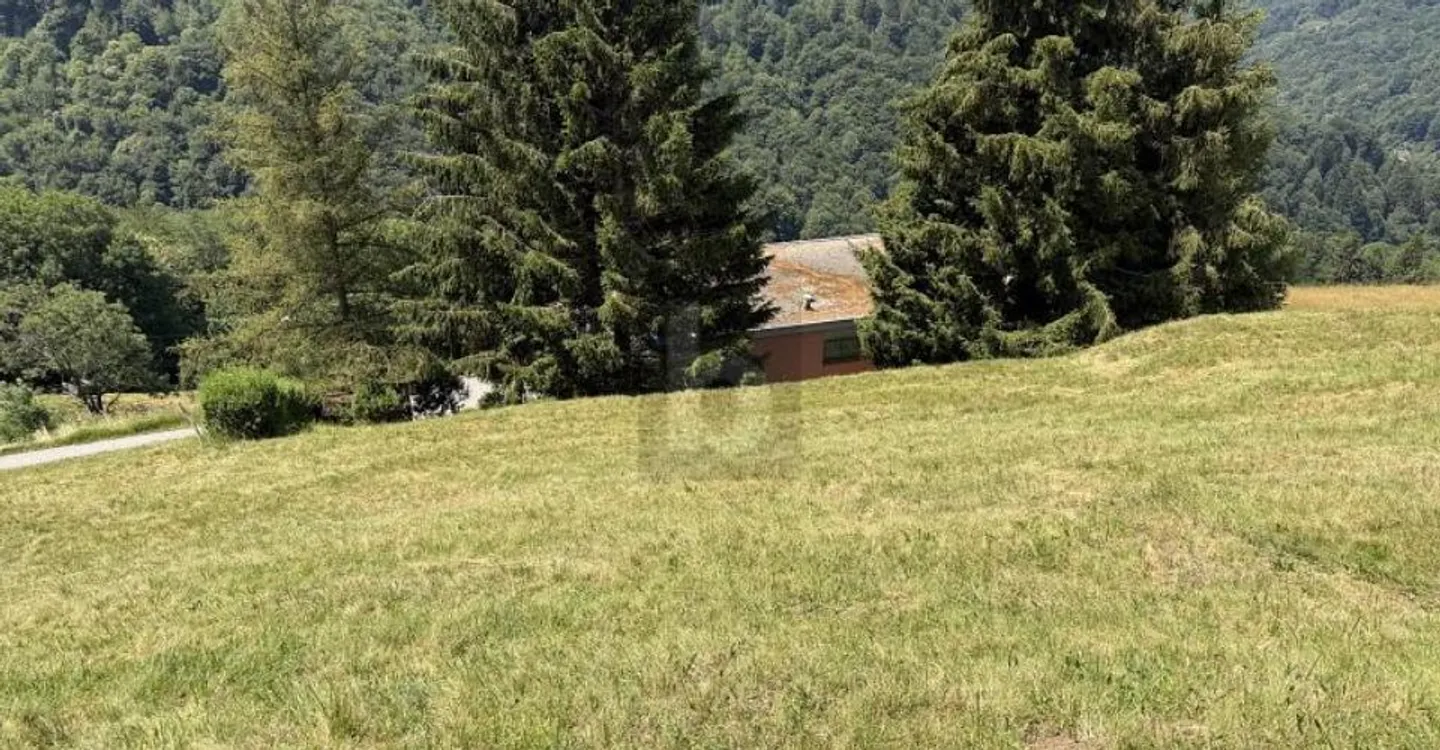 Terrain Constructible ensoleillé - Photo 4 sur 5