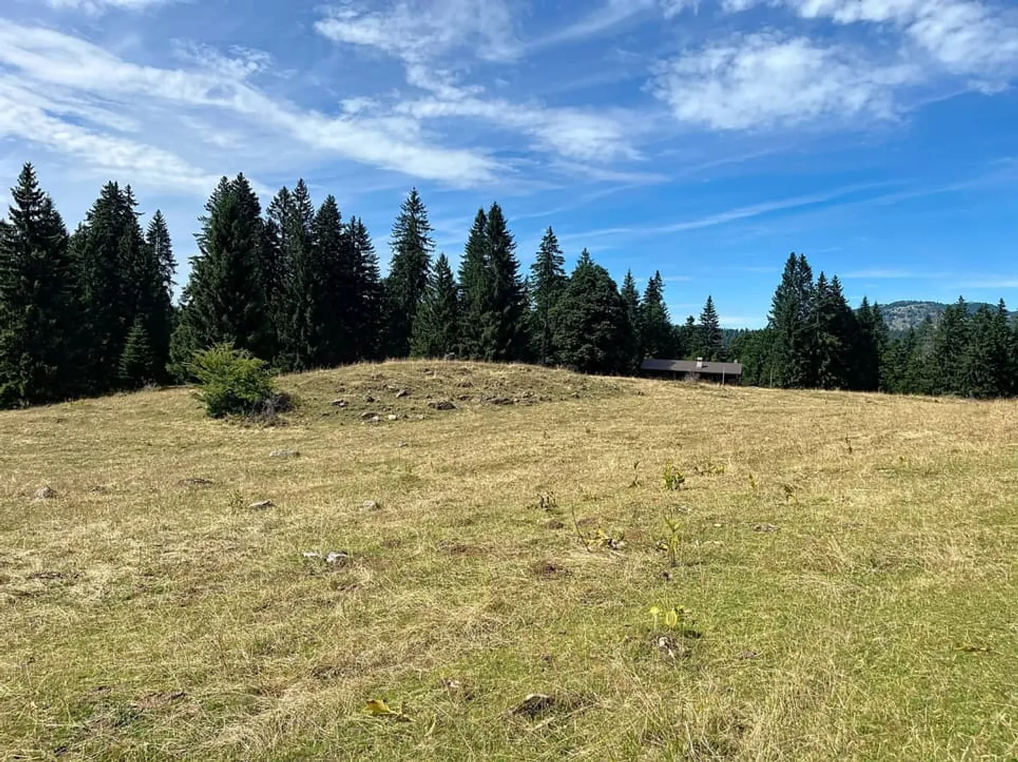 Alpenchalet in DDP - Foto 9 von 12