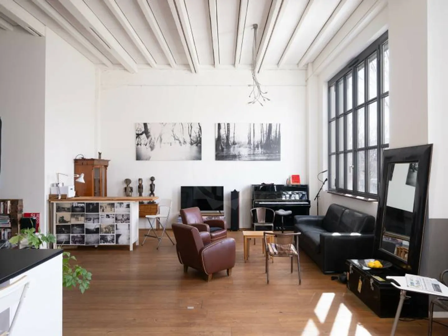 Beautiful Apartment - Geneva - Photo 4 of 12