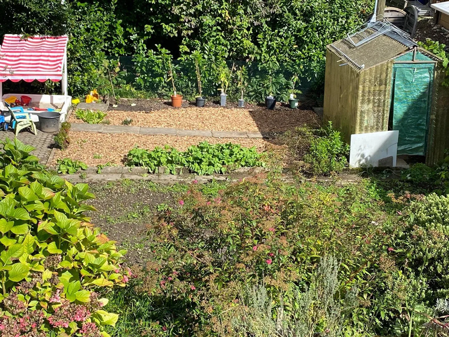 - Befristet - charmante, möbilierte 2-Zimmer-Einliegerwohnung - Foto 2 von 11