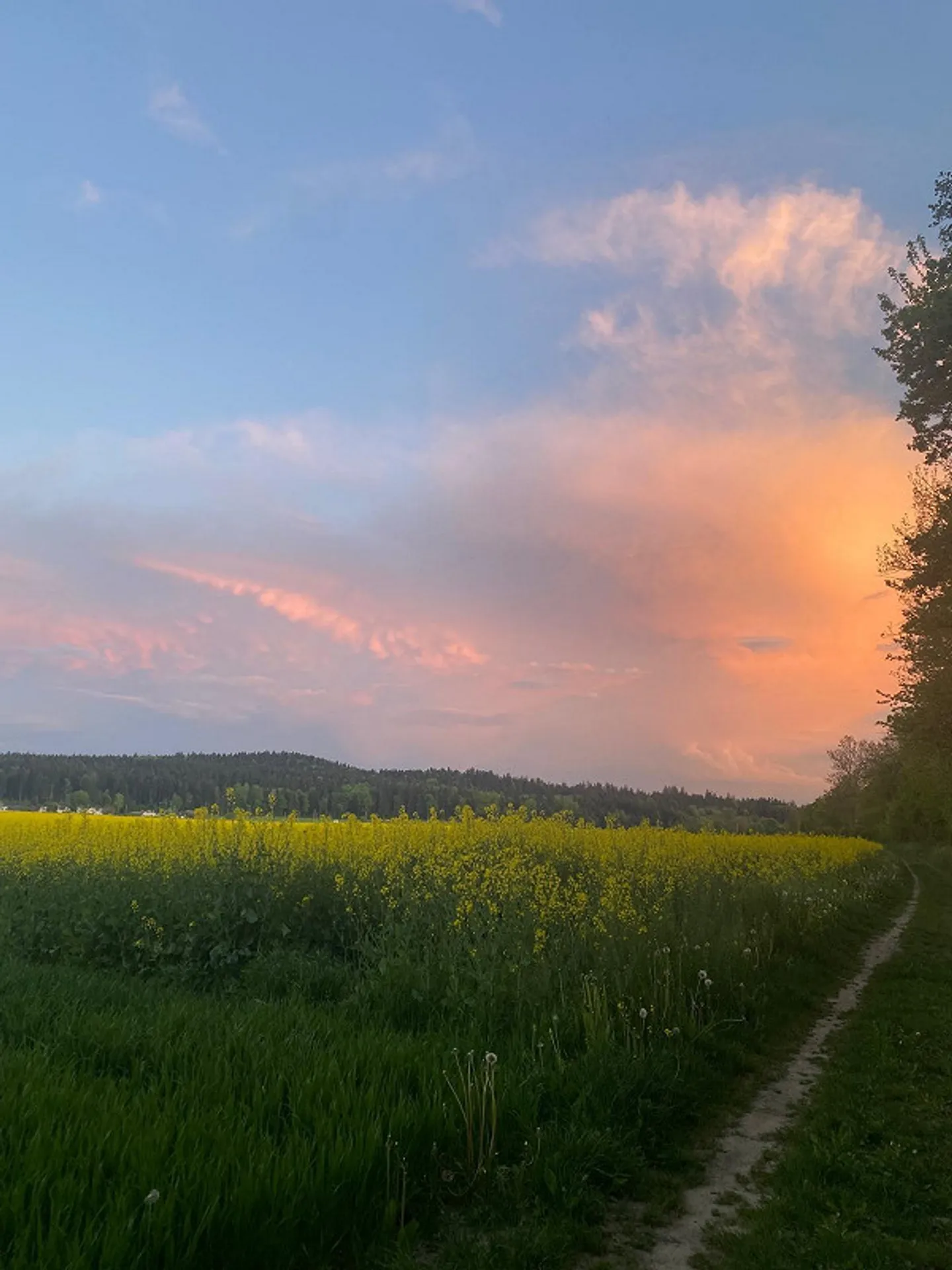 - Befristet - charmante, möbilierte 2-Zimmer-Einliegerwohnung - Foto 11 von 11