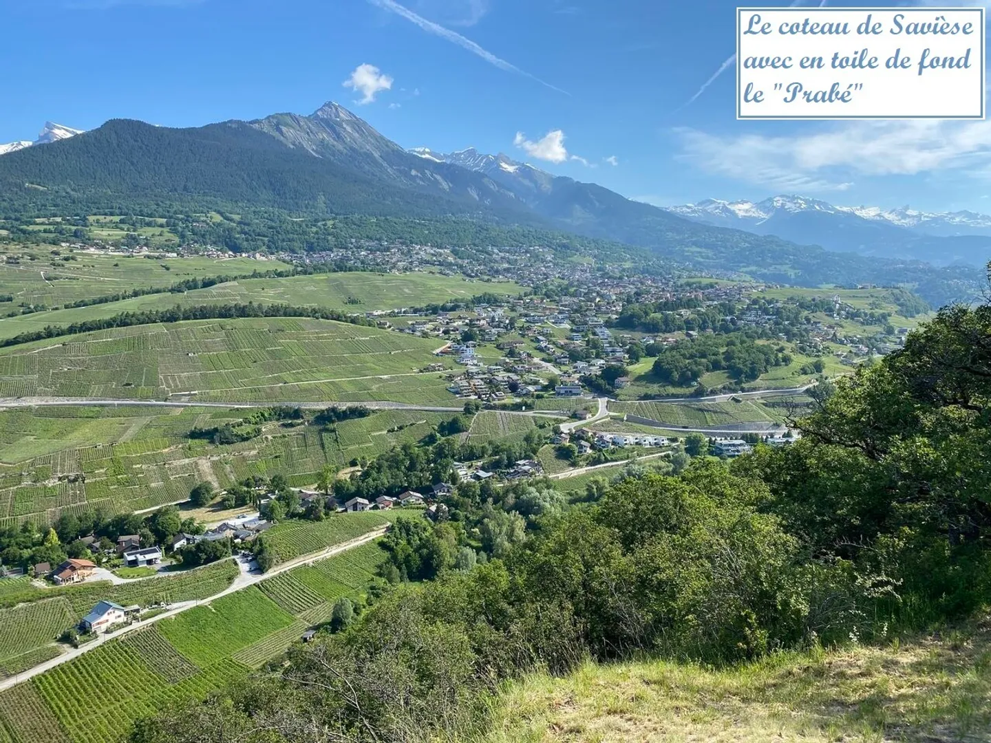 New - Savièse Center - Photo 6 of 13