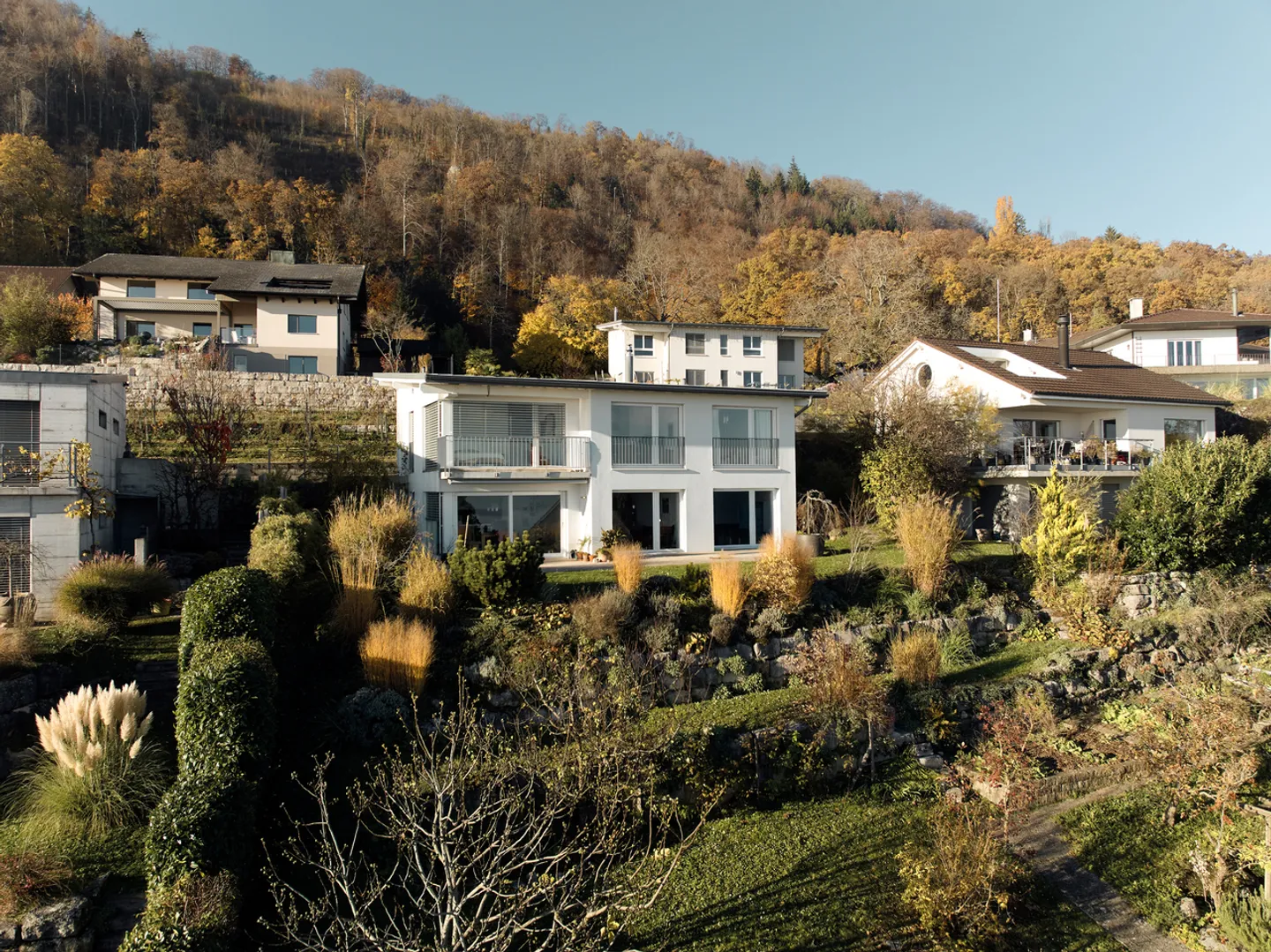 À PROPOS DES VIGNES DE LIGERZ AVEC VUE SUR LE LAC NON OBSTRUÉE - Photo 12 sur 13
