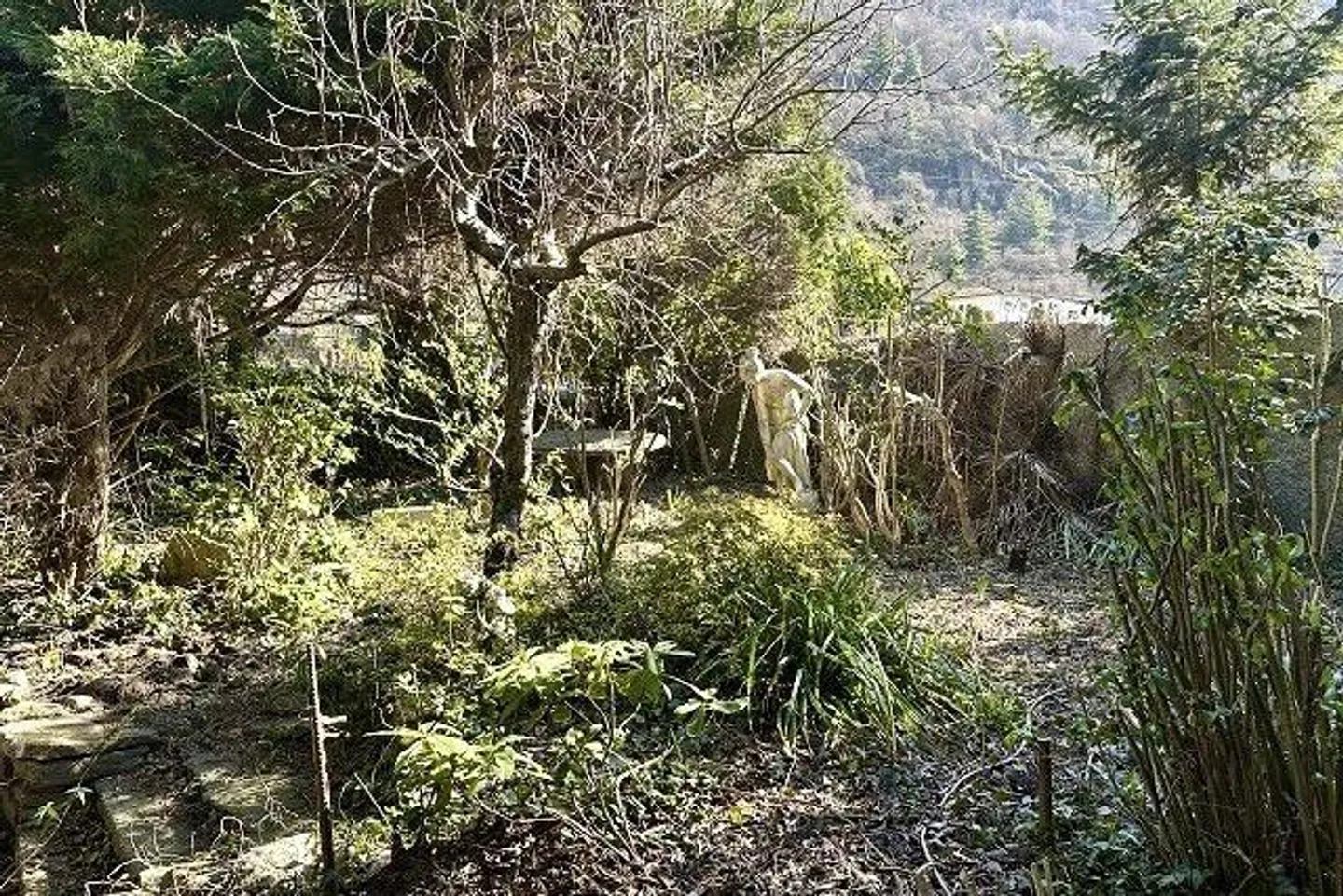 Three House Parts with Large Garden - Photo 36 of 49