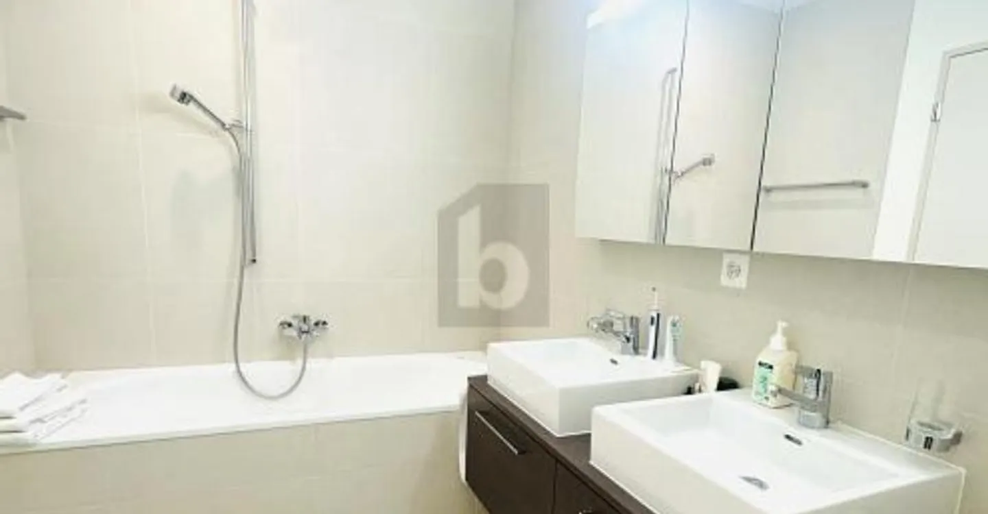 Appartement élégant au bord du lac - Photo 3 sur 6