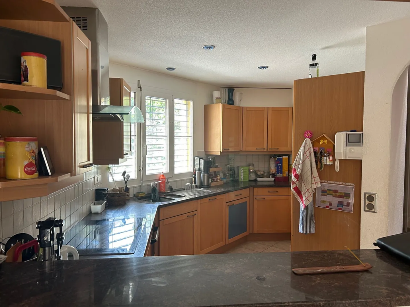 ZU VERMIETEN! Prächtige Villa in einem Wohngebiet von Bussigny - Foto 4 von 12