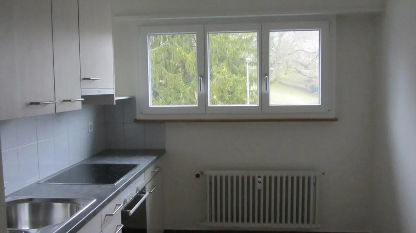 Quiet Living in Riehen - Photo 3 of 8