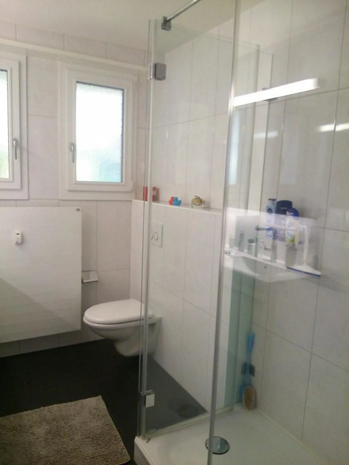 Quiet Living in Riehen - Photo 8 of 8