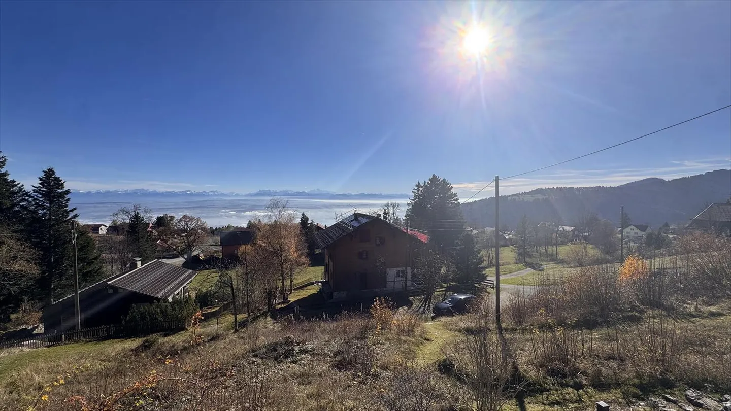 Chalet 2.5 Zimmer - Foto 11 von 14