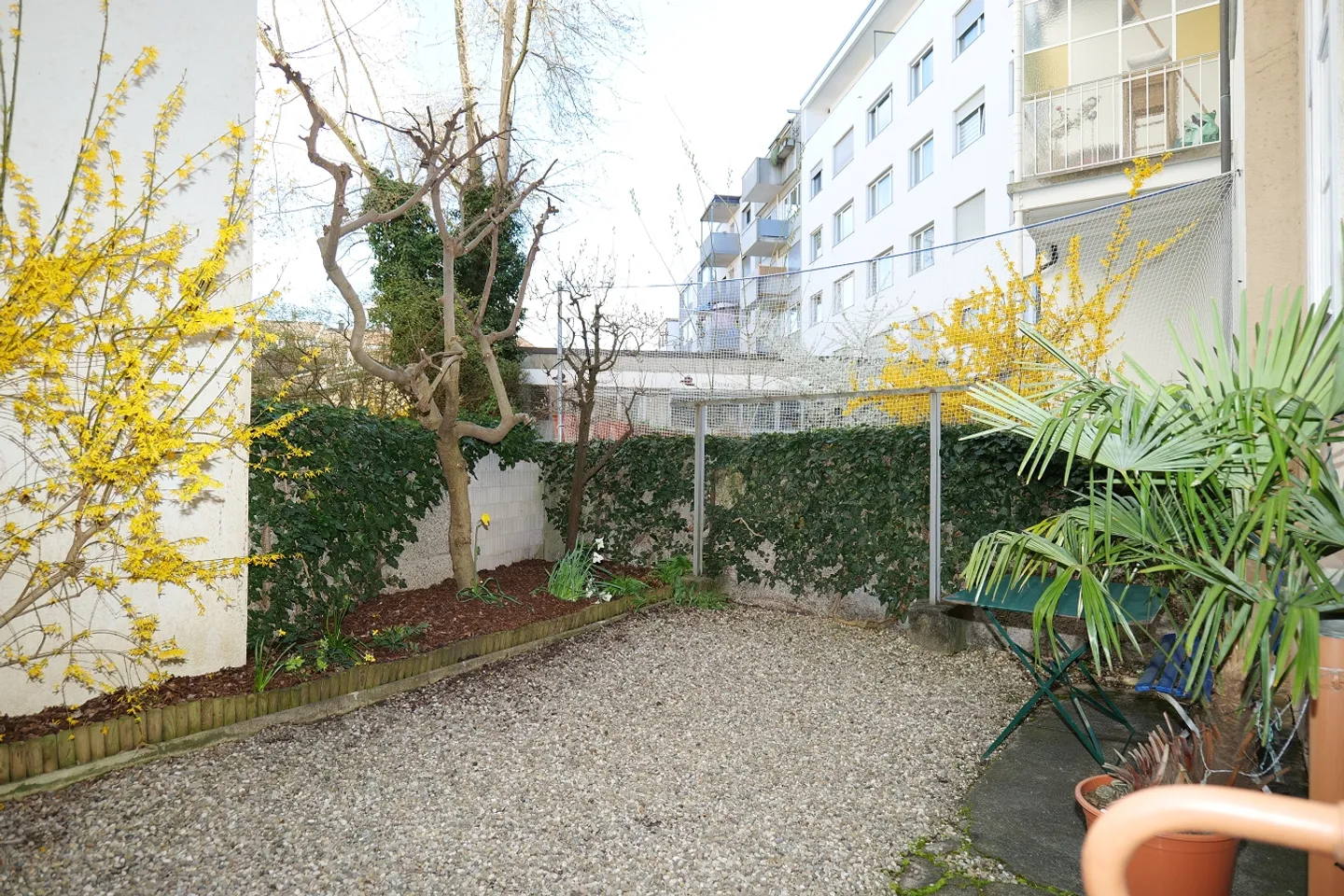 Living in a charming Art Nouveau house in Basel - Photo 8 of 13