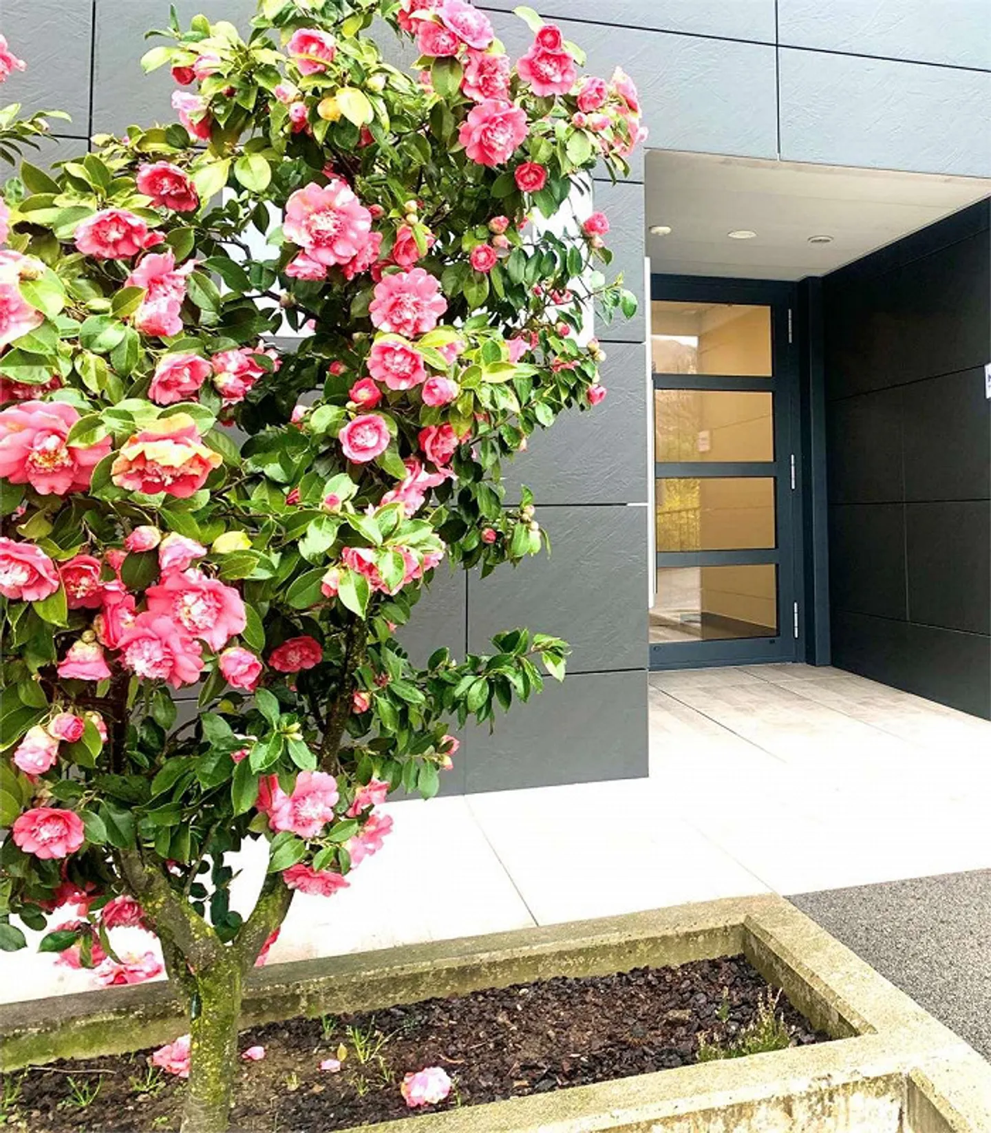 Espace commercial à Massagno dans un emplacement stratégique - Photo 9 sur 9